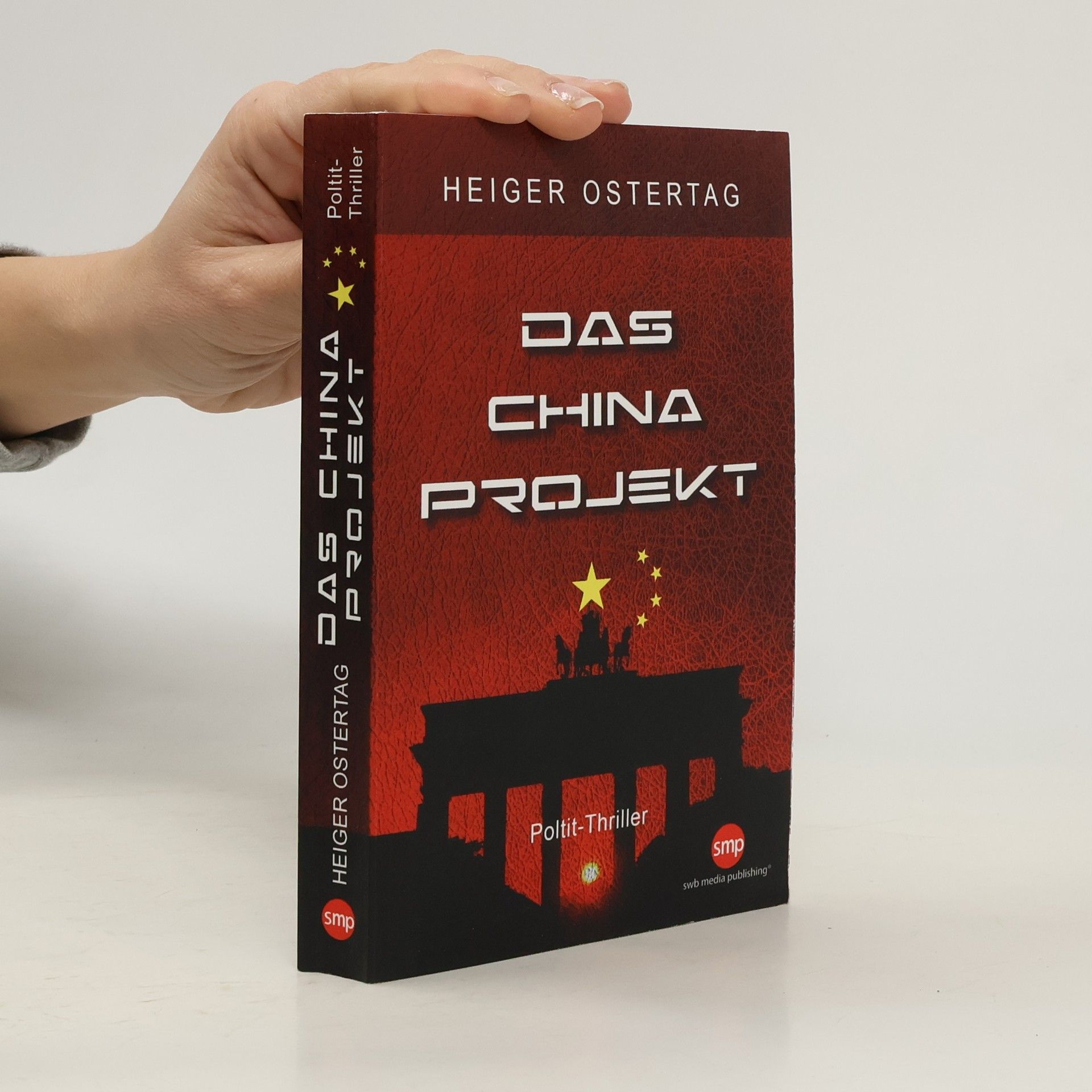 Heiger Ostertag Das China Projekt