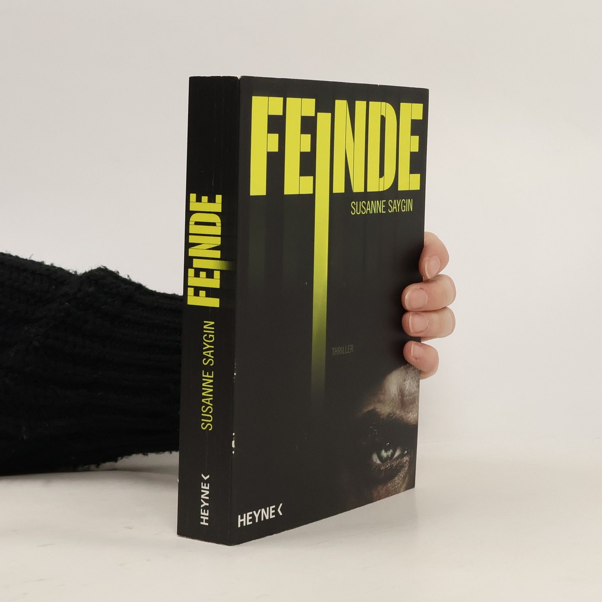 Susanne Saygin Feinde