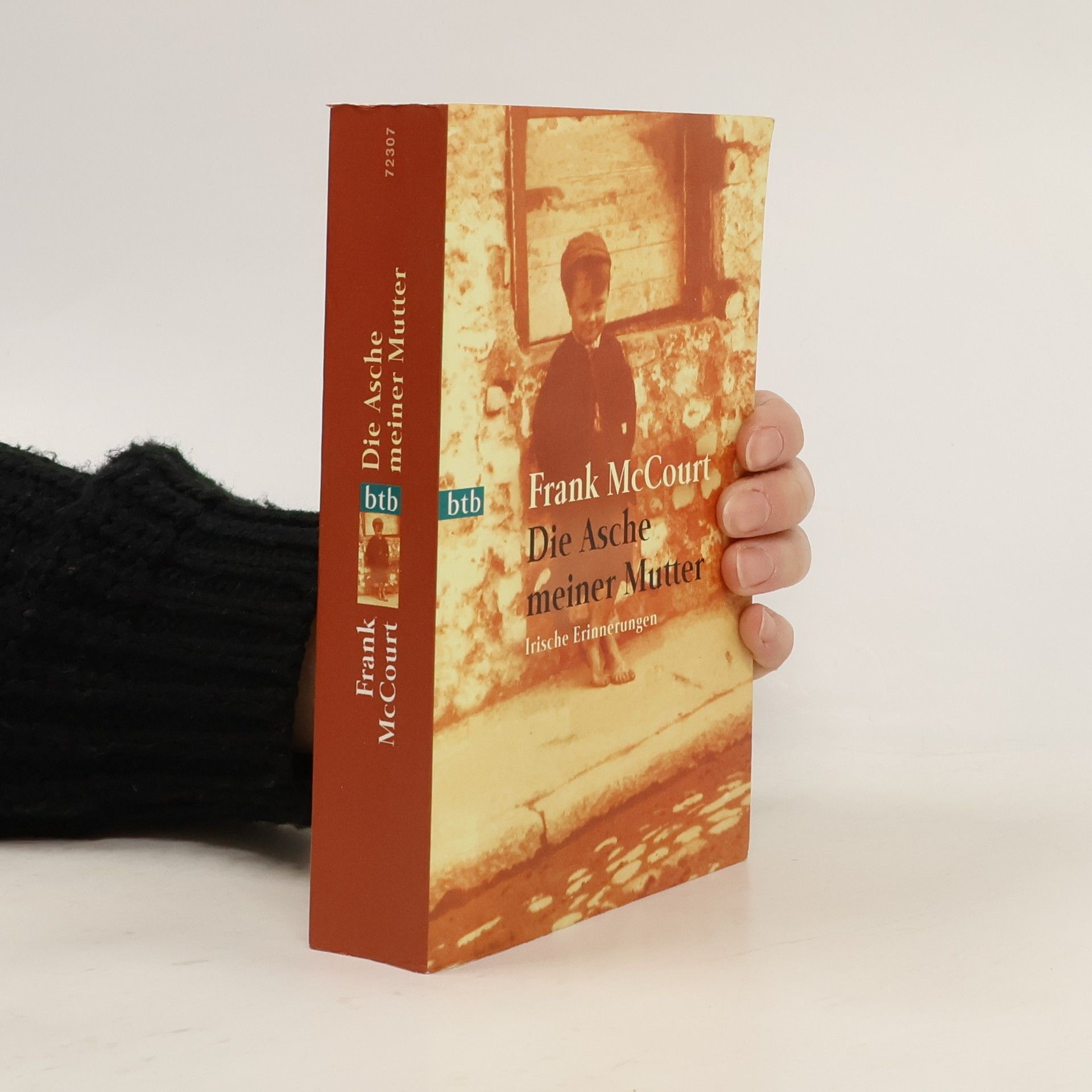 Frank McCourt Die Asche meiner Mutter