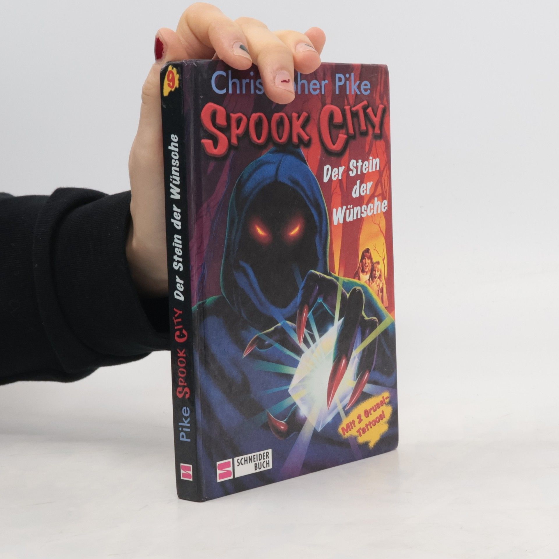 Christopher Pike Spook City, Bd.9, Der Stein der Wünsche