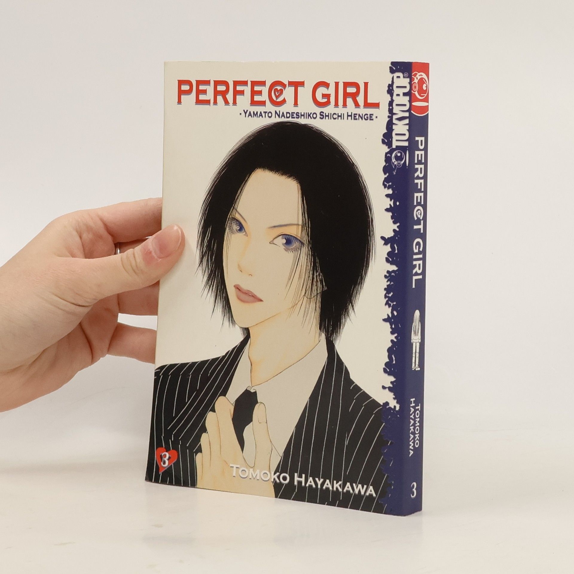 Tomoko Hayakawa Perfect Girl 3