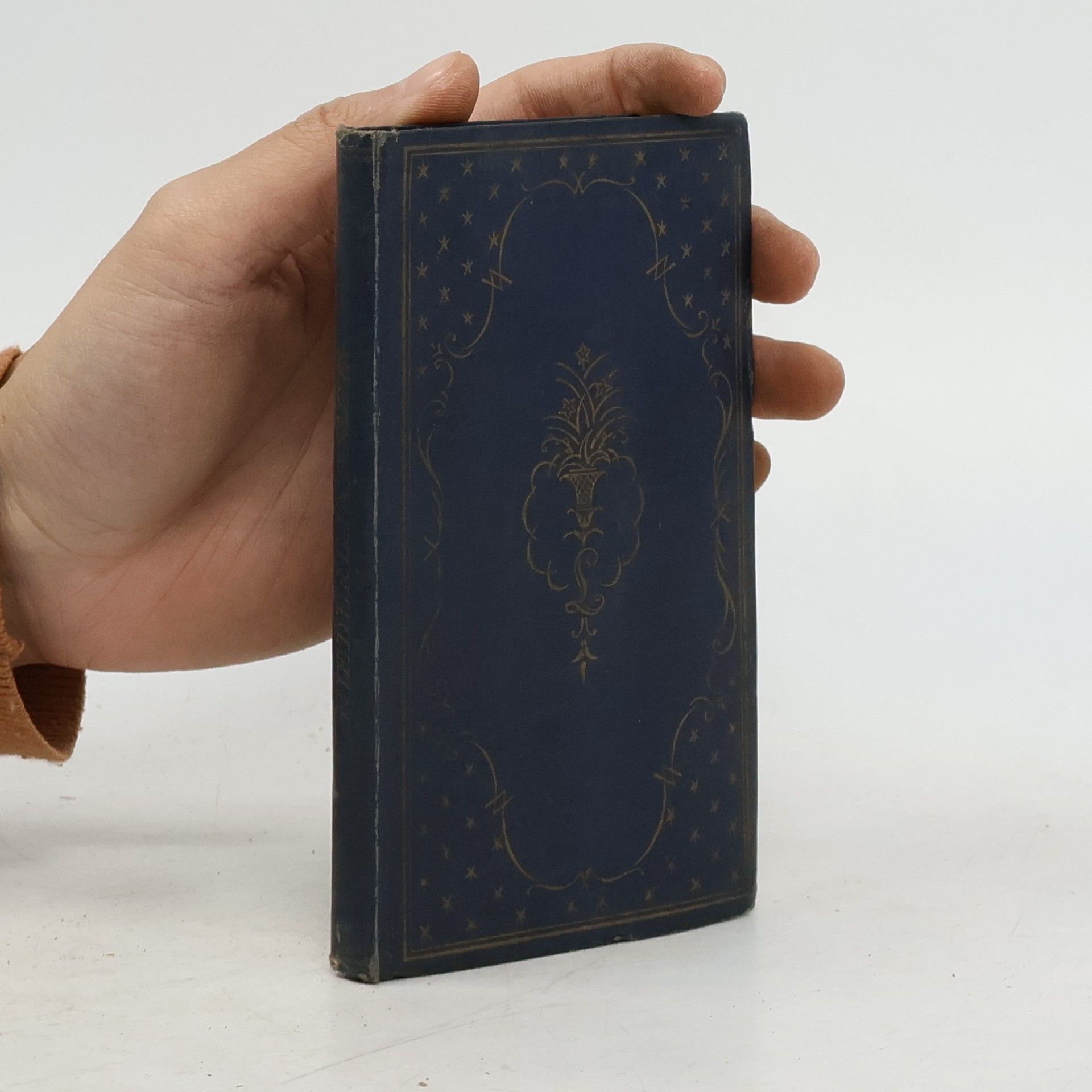 C. J. Vierhout Metoula Sprachführer Niederländisch