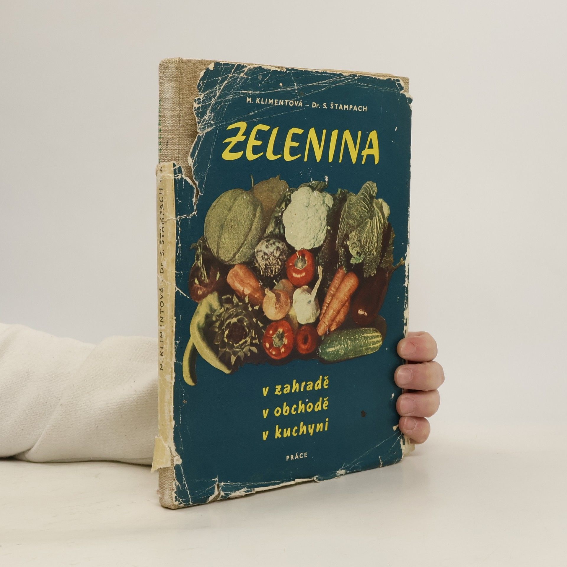 Zelenina v zahradě, v obchodě, v kuchyni