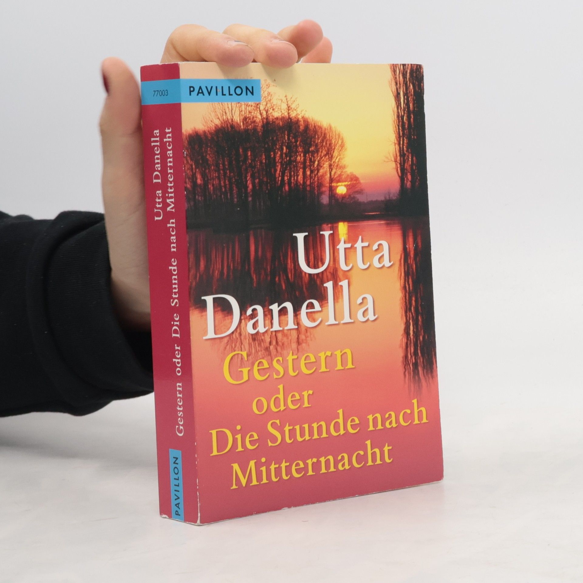 Gestern oder Die Stunde nach Mitternacht. Roman