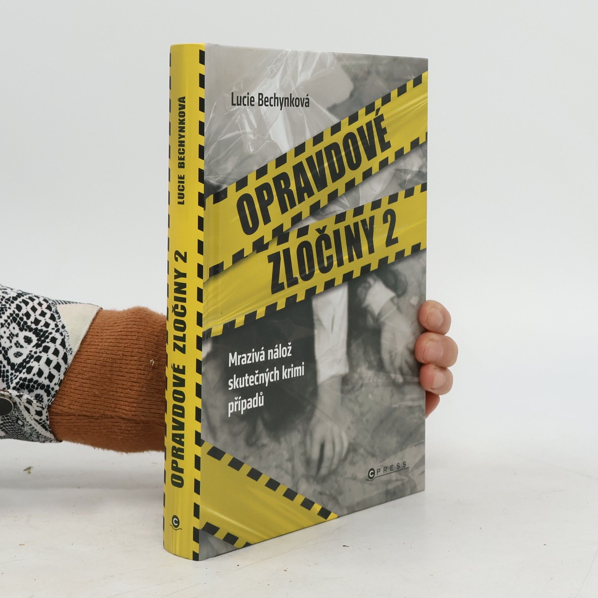 Opravdové zločiny 2