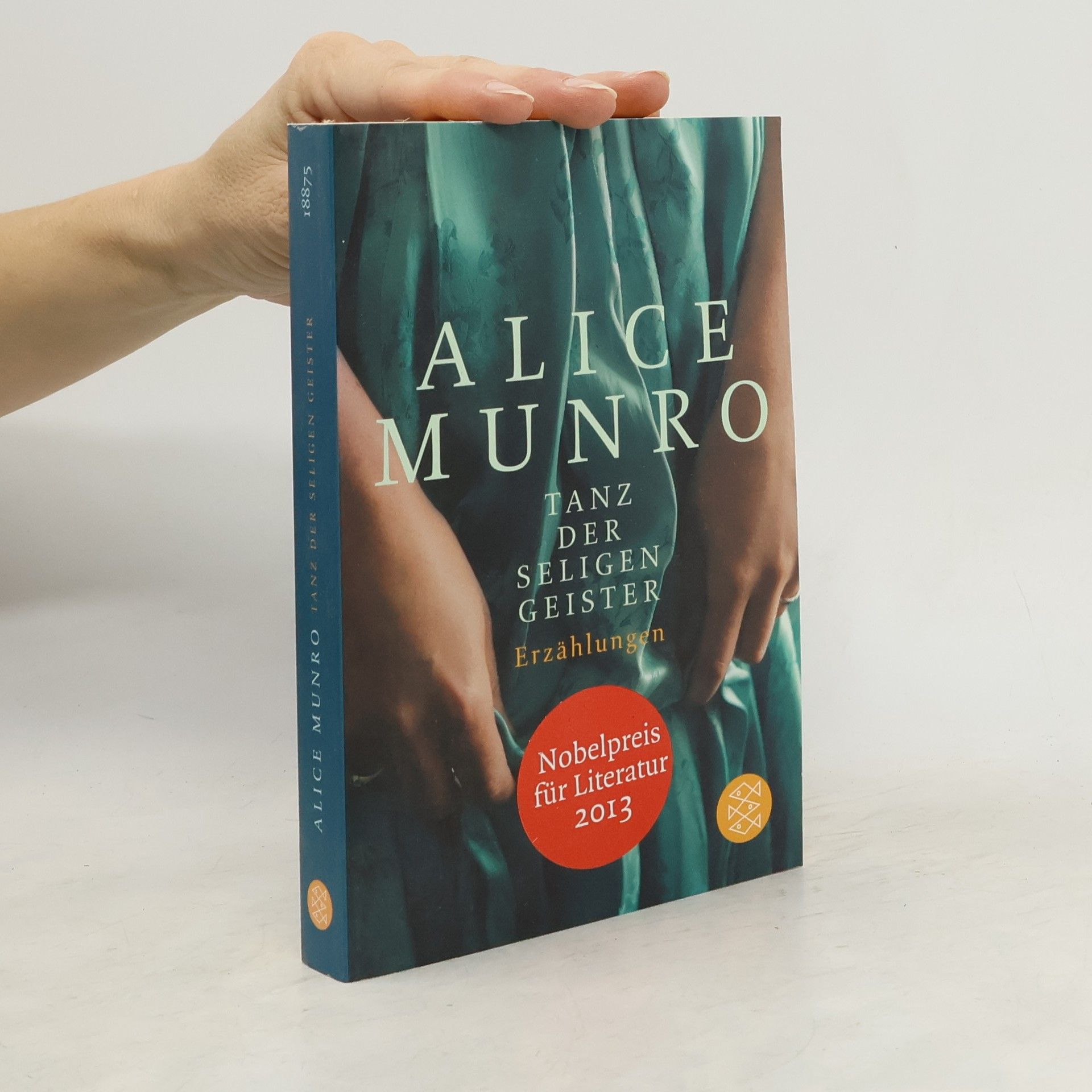 Alice Munro Tanz der seligen Geister