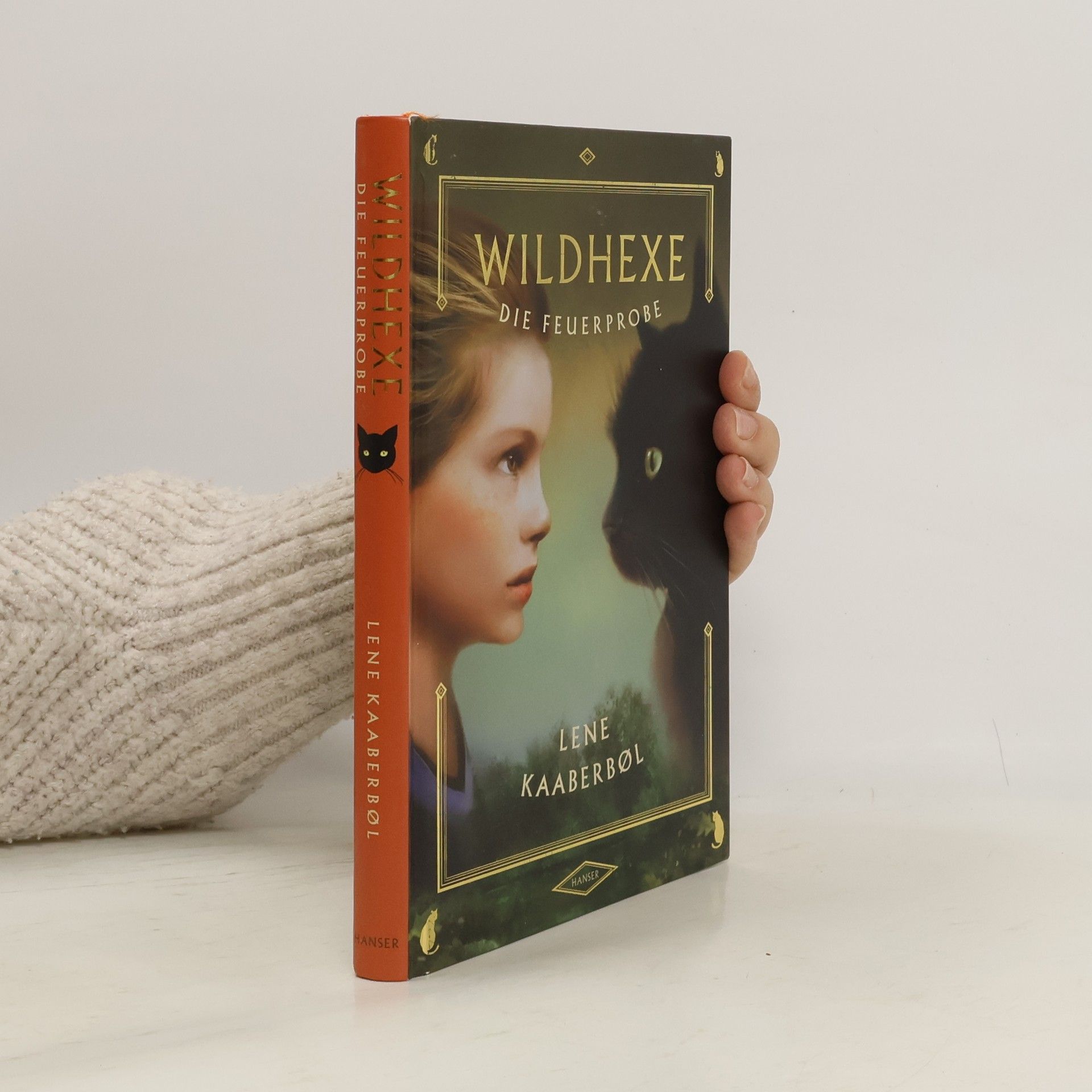 Lene Kaaberbol Wildhexe die Feuerprobe