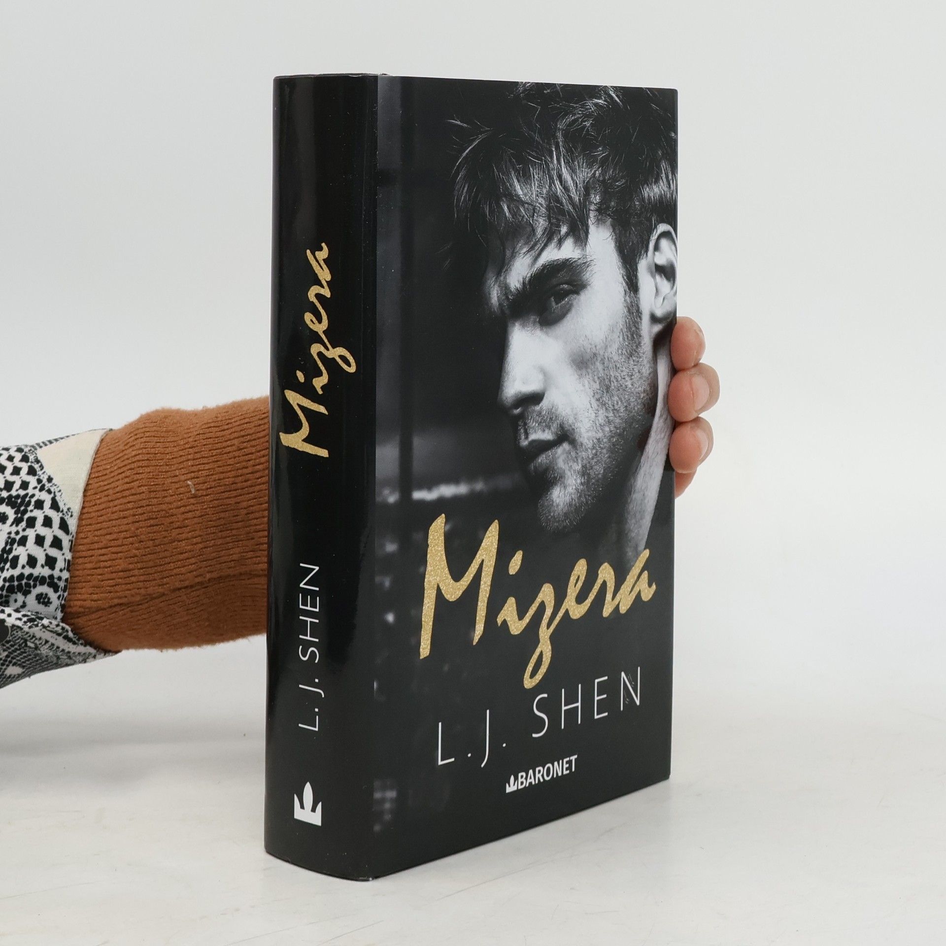 Darina Povolná Mizera