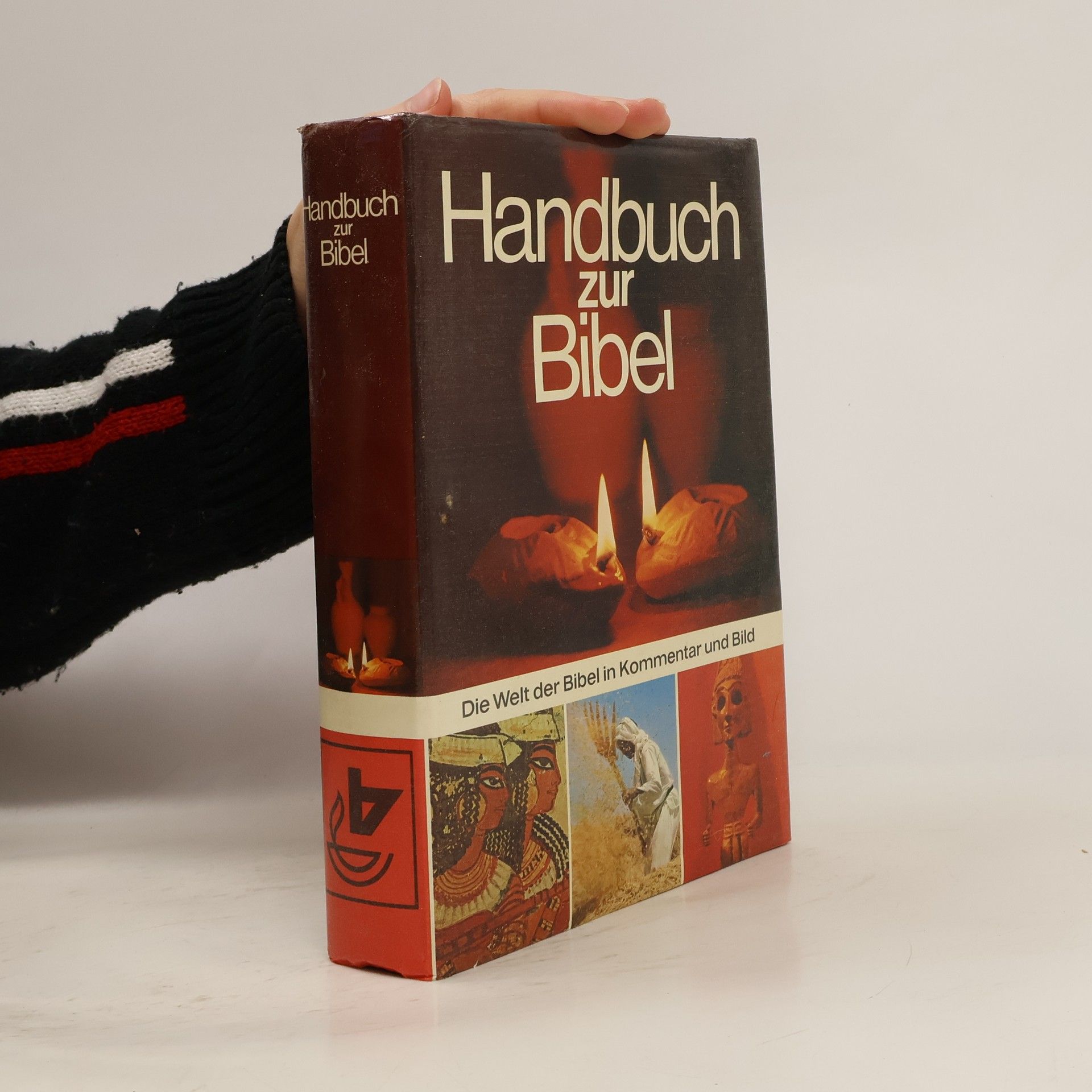 David Alexander Handbuch zur Bibel