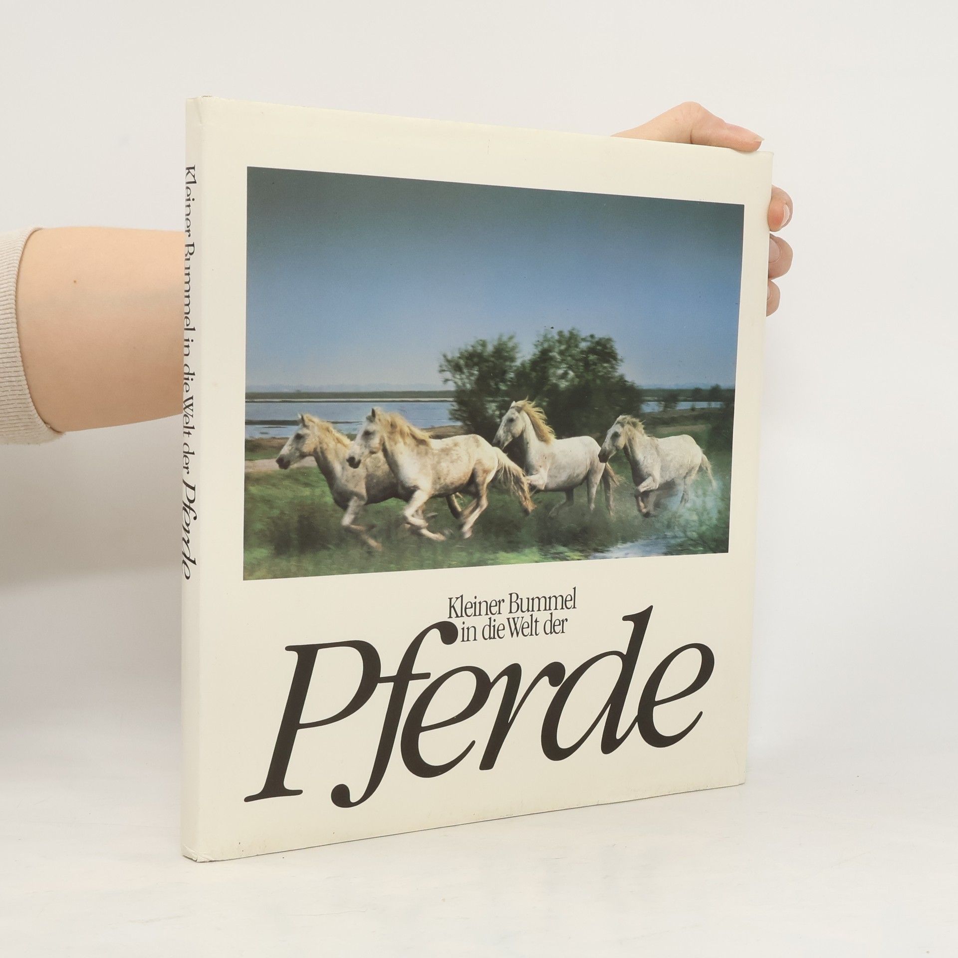 Gerhard Kapitzke Kleiner Bummel in die Welt der Pferde