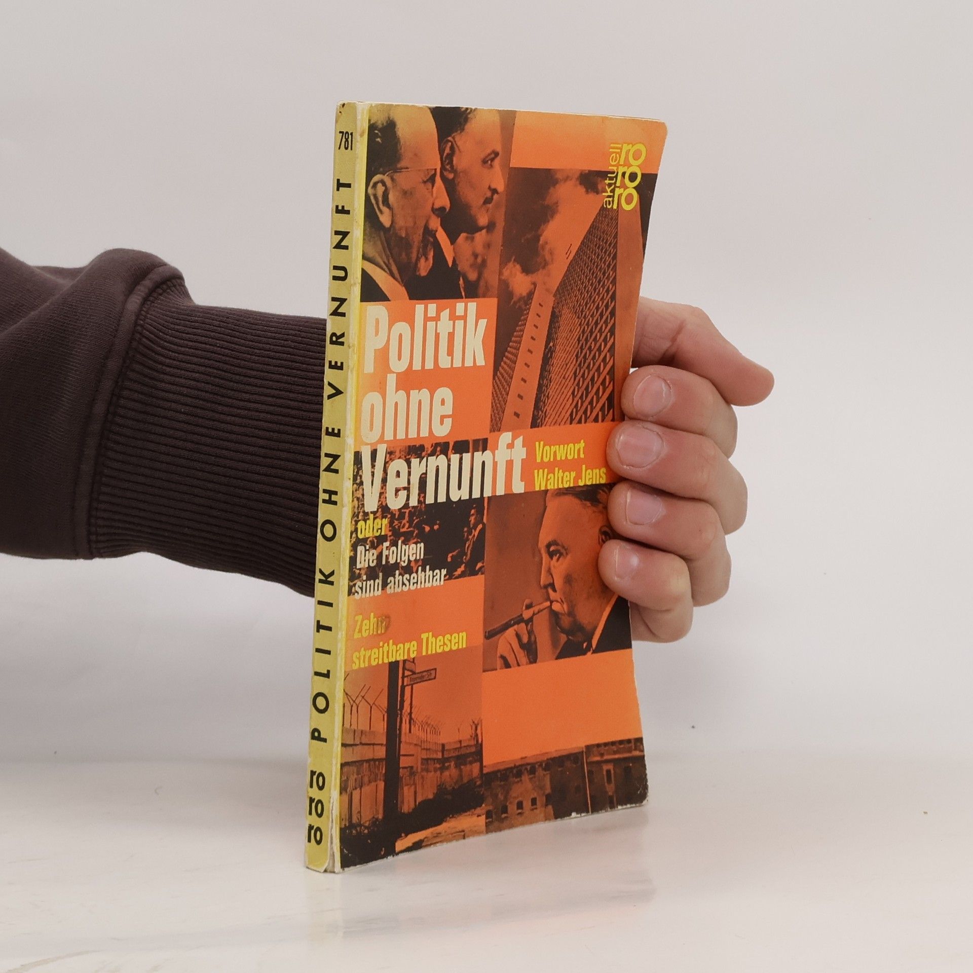 Politik ohne Vernunft oder die Folgen sind absehbar. Zehn streitbare Thesen