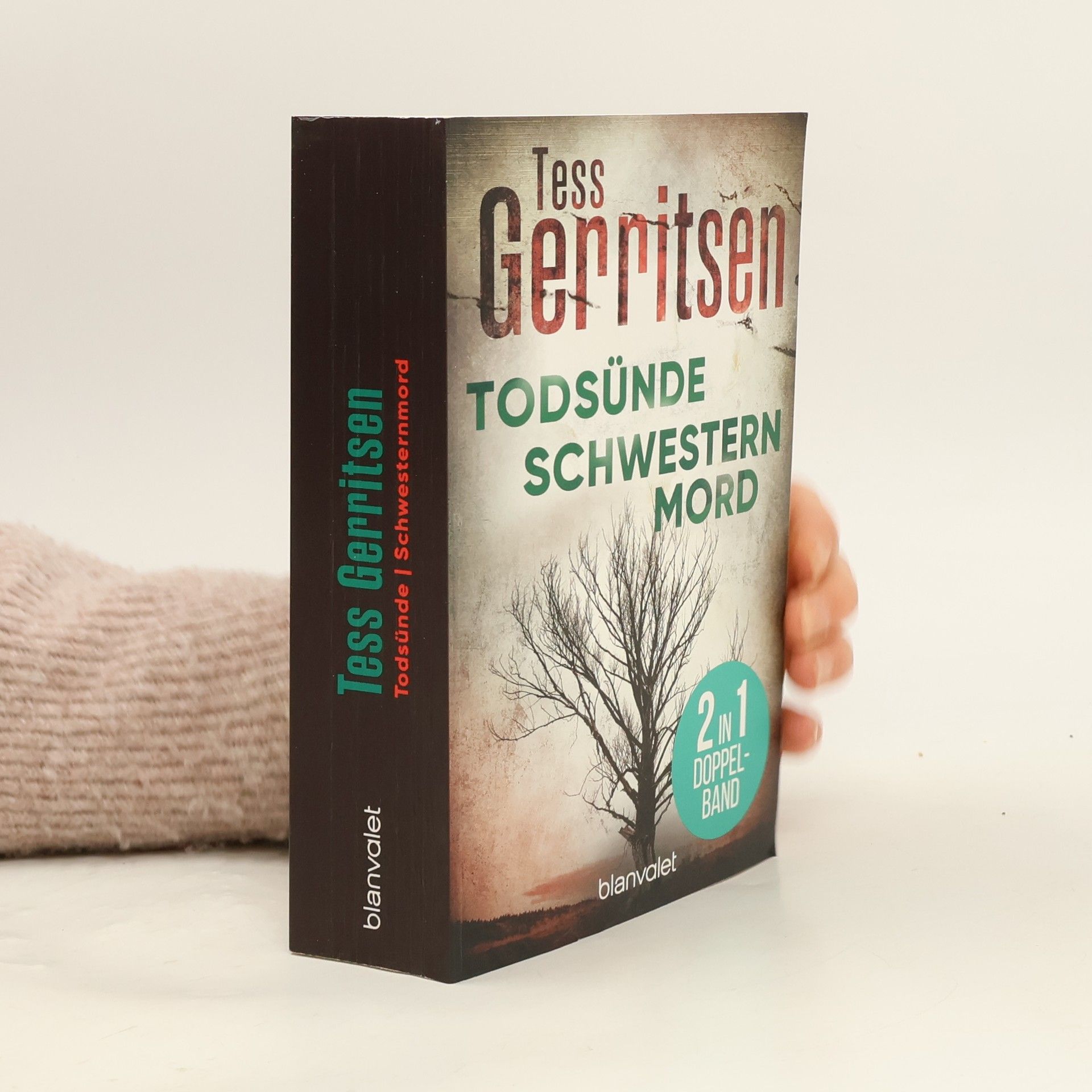 Tess Gerritsen Todsünde. Schwesternmord
