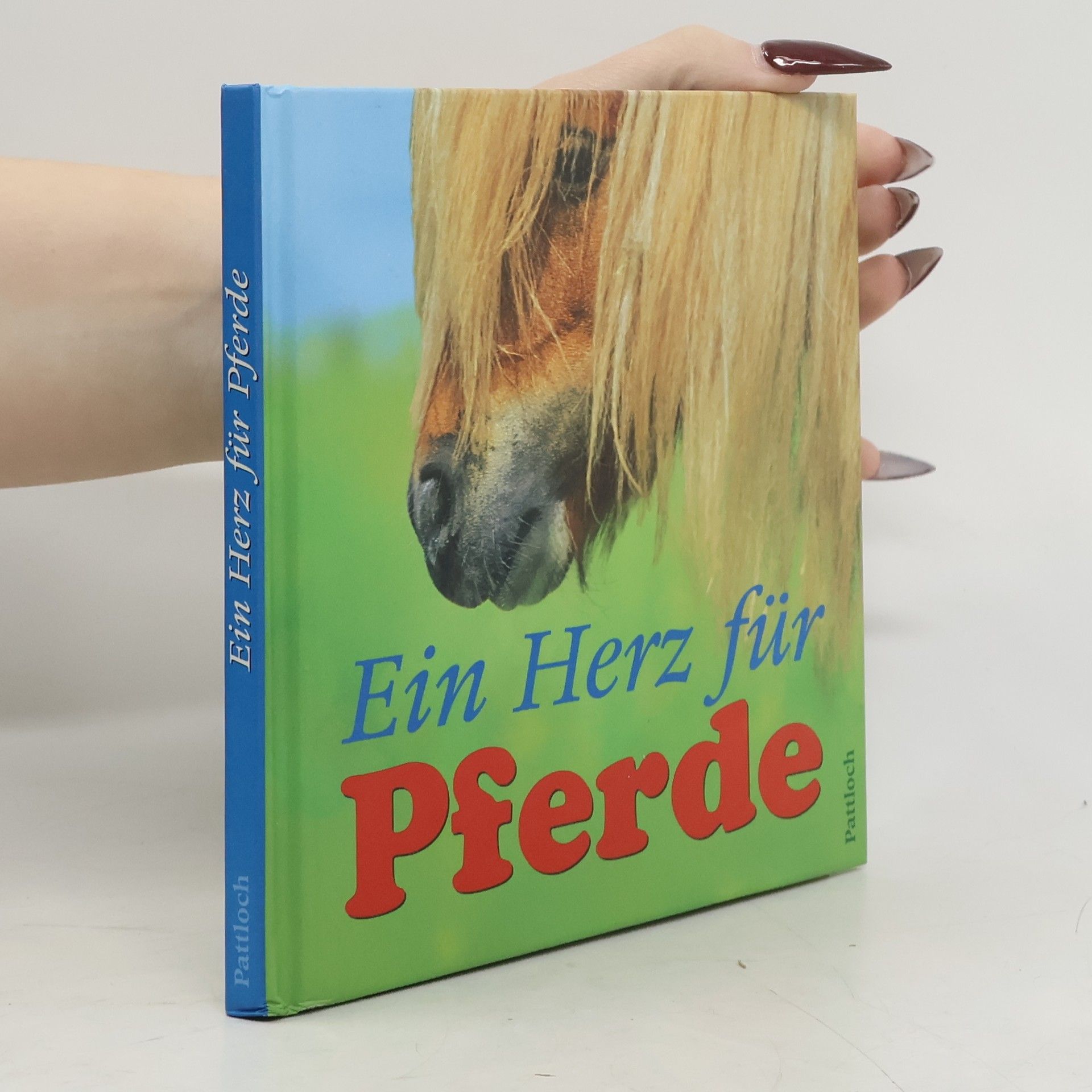 Gabriele Boiselle Ein Herz für Pferde