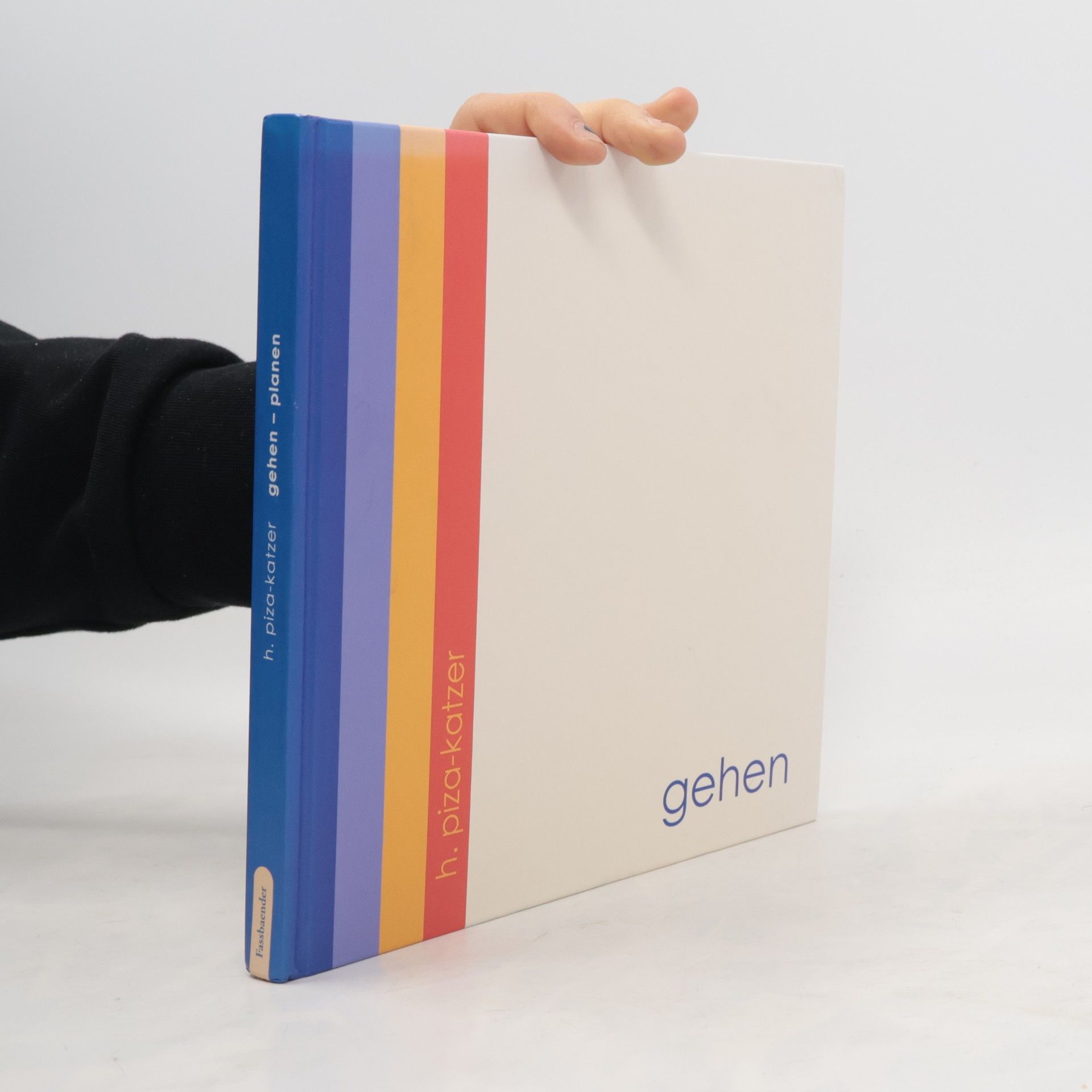 H. Piza-Katzer Gehen. Planen