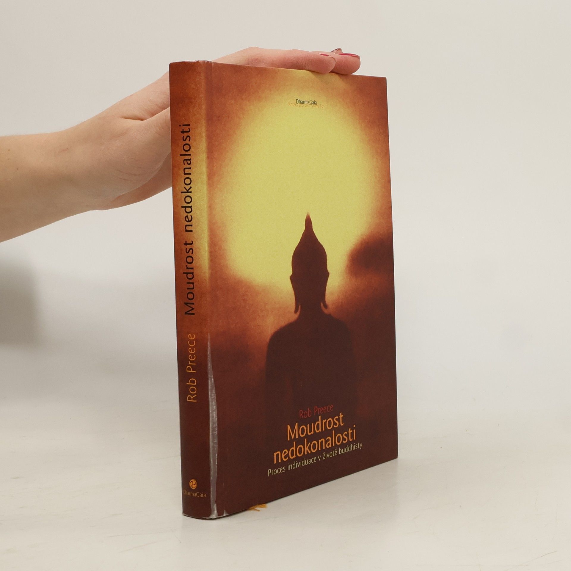 Rob Preece Moudrost nedokonalosti