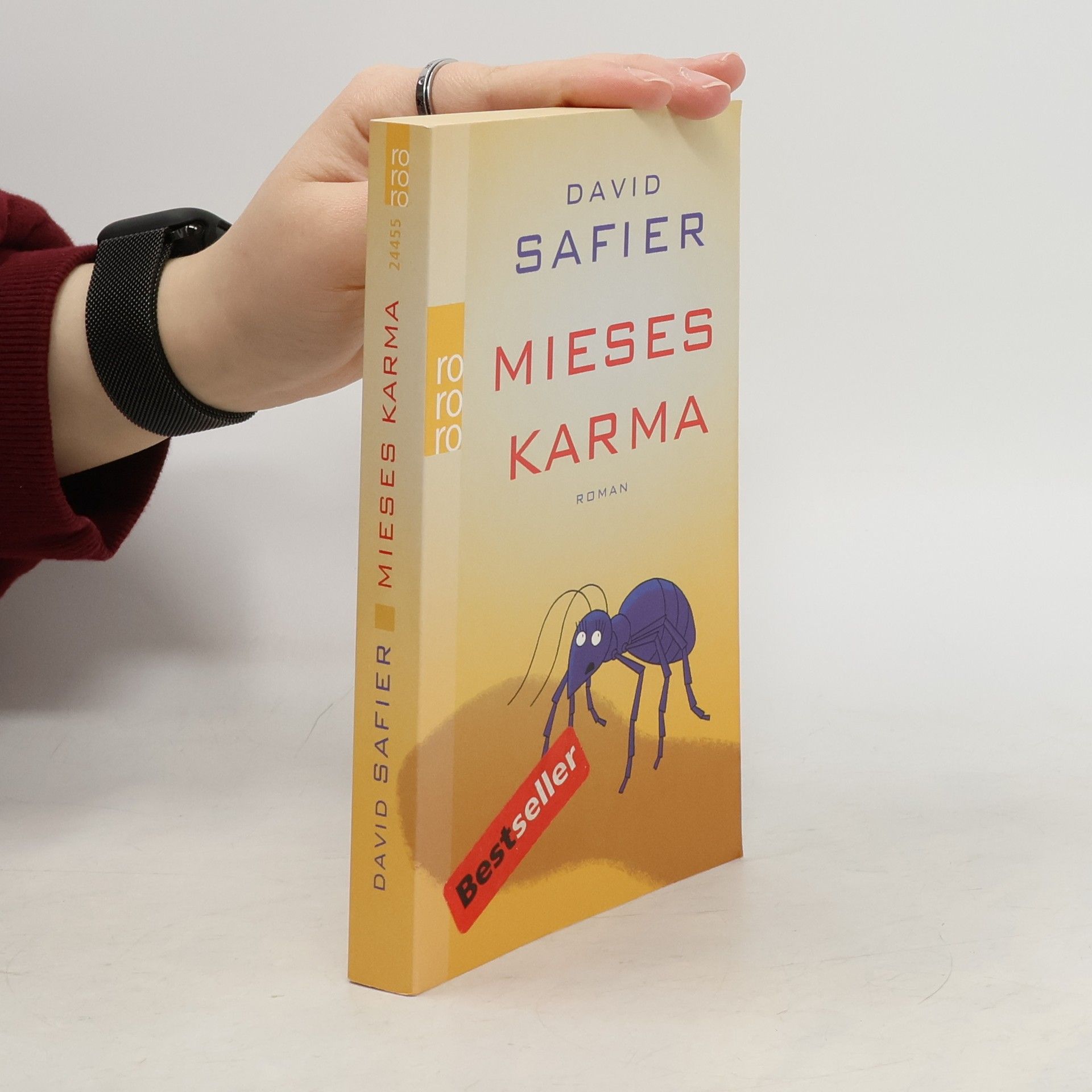 David Safier Mieses Karma