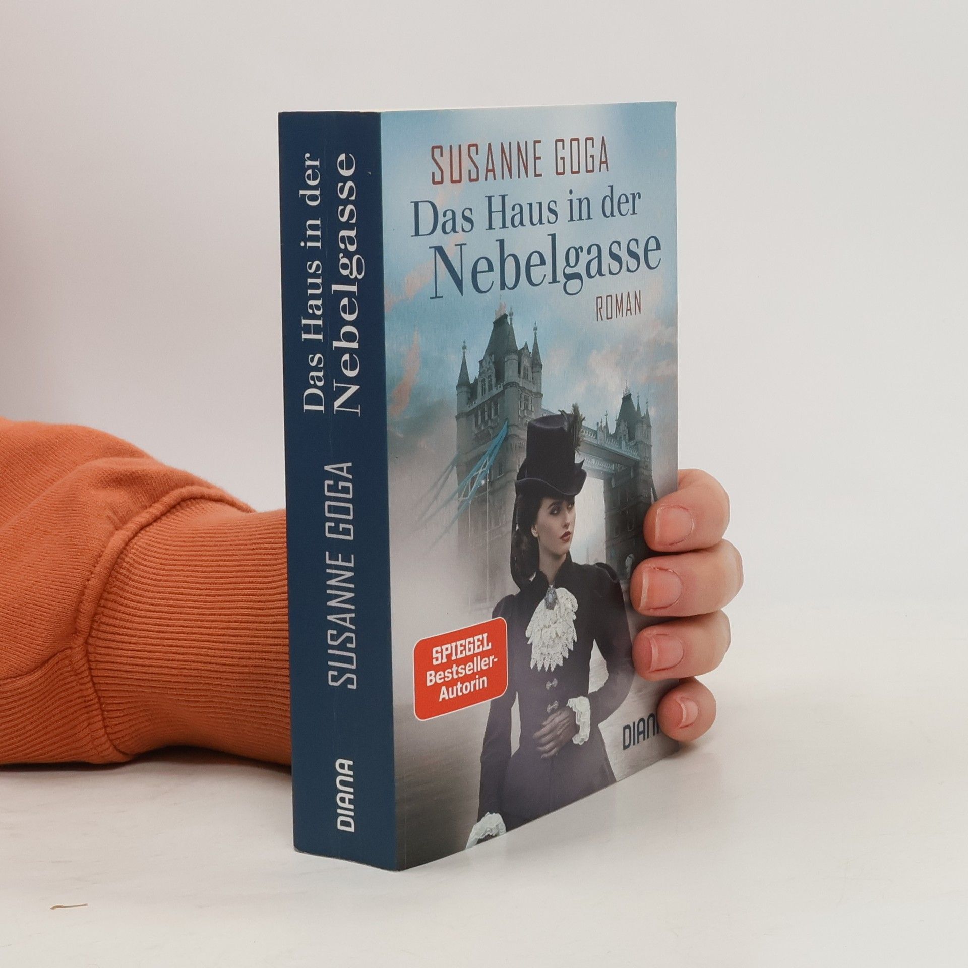 Susanne Goga Das Haus in der Nebelgasse