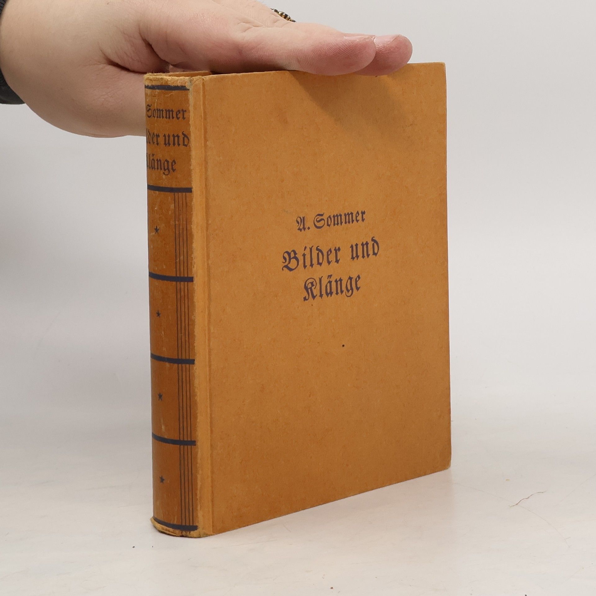 Anton Sommer Bilder und Klänge aus Rudolstadt