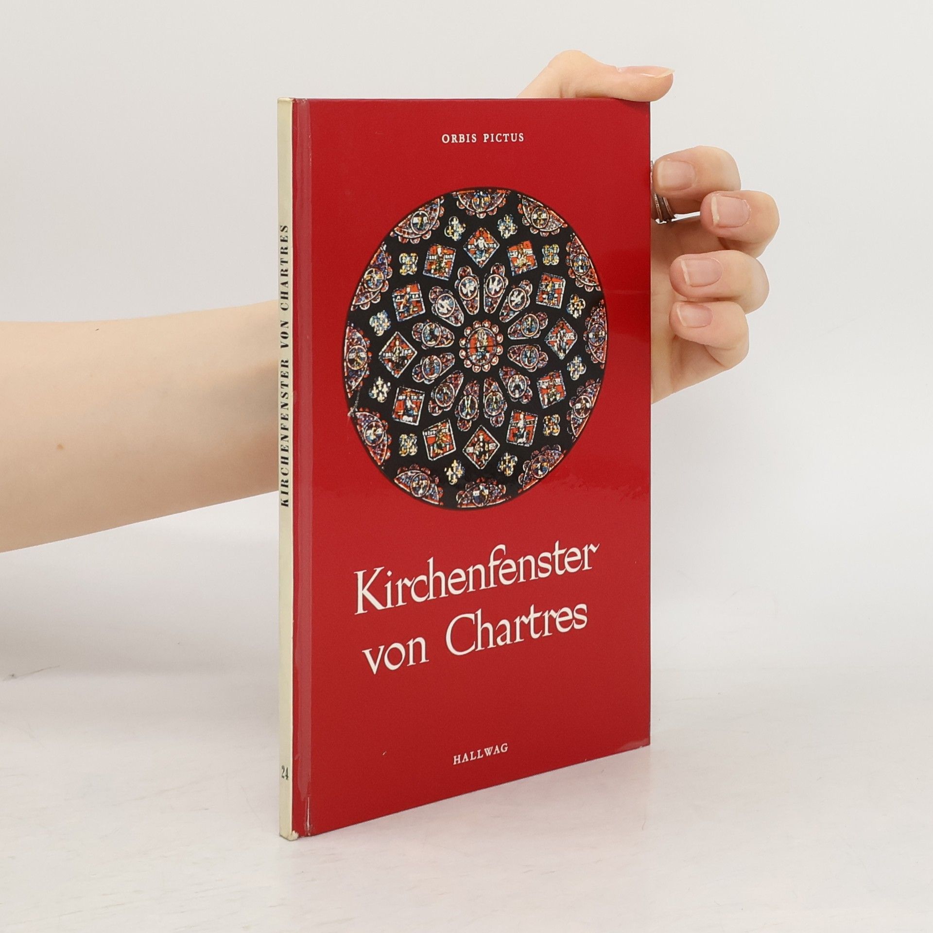 Autorenkollektiv Kirchenfenster von Chartres