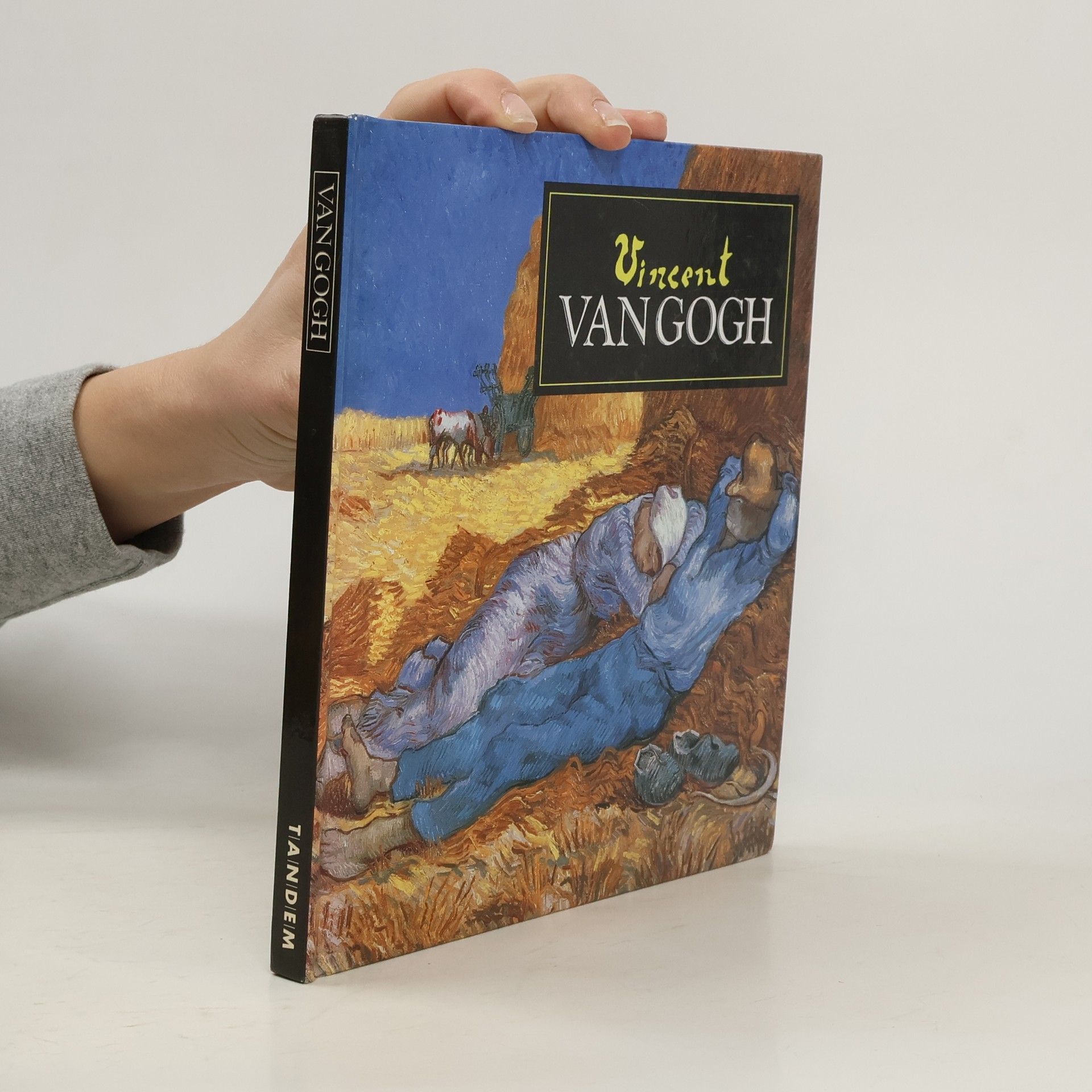 Vincent van Gogh Van Gogh