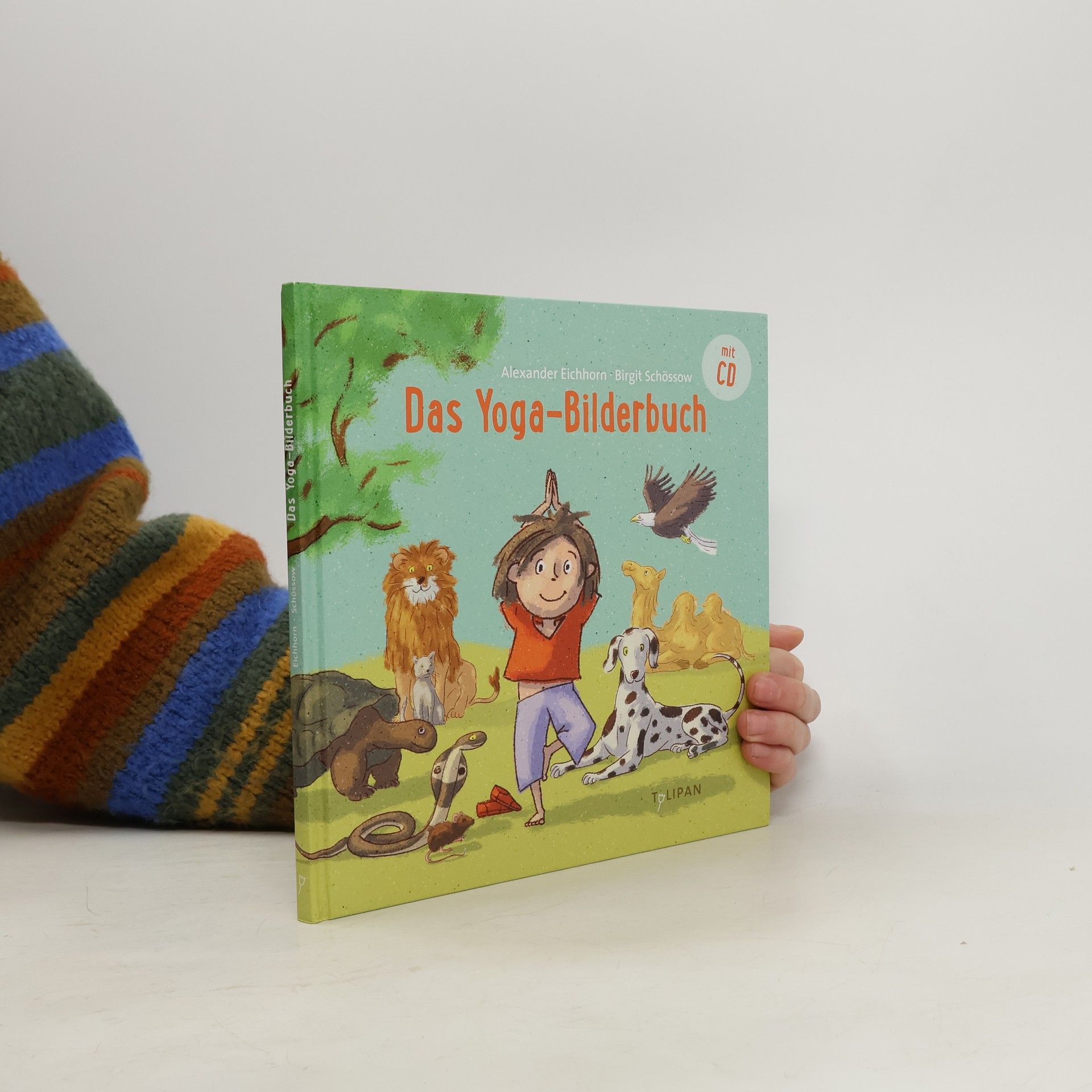 Alexander Eichhorn Das Yoga-Bilderbuch