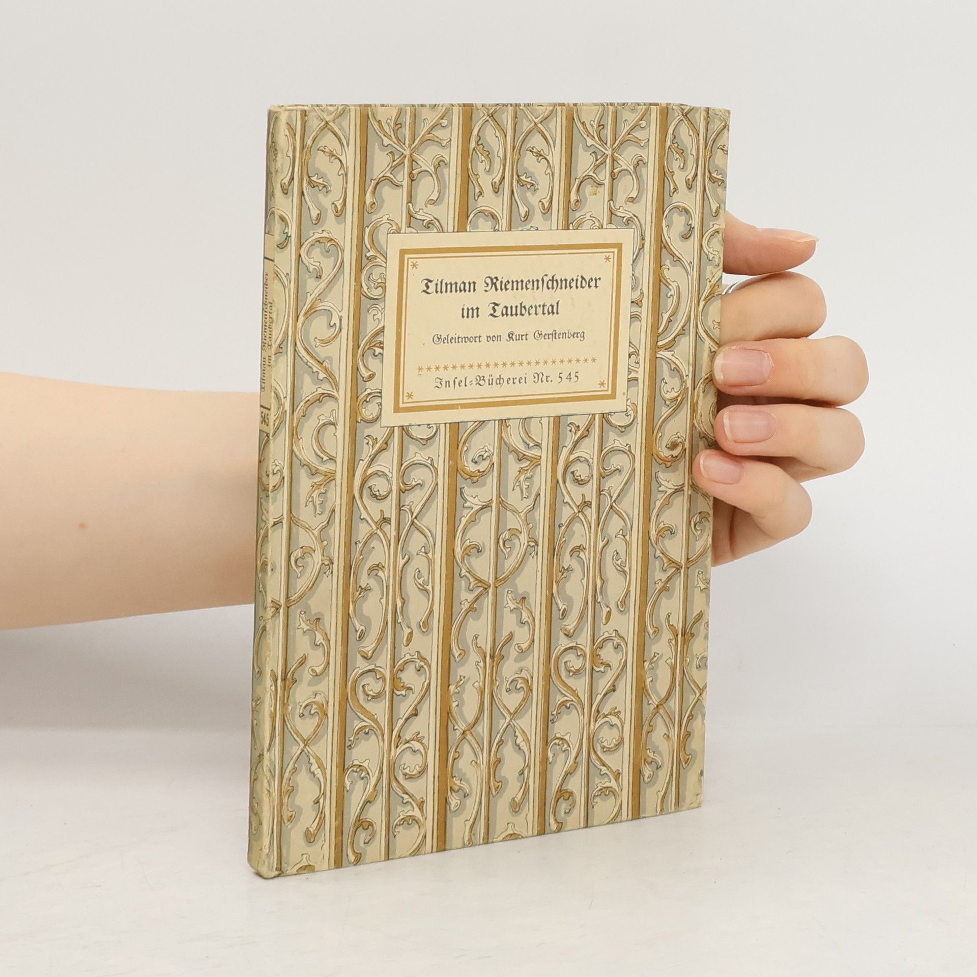 AA.VV. Tilman Riemenschneider im Taubertal