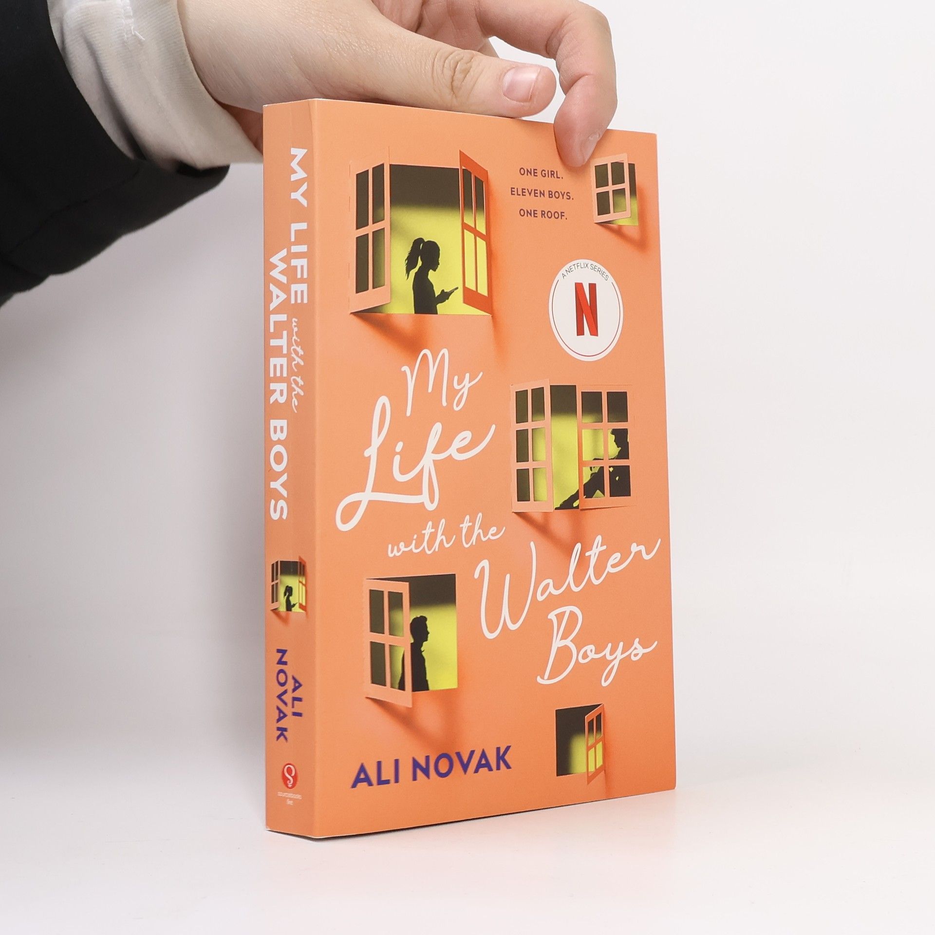 Ali Novak My Life with the Walter Boys