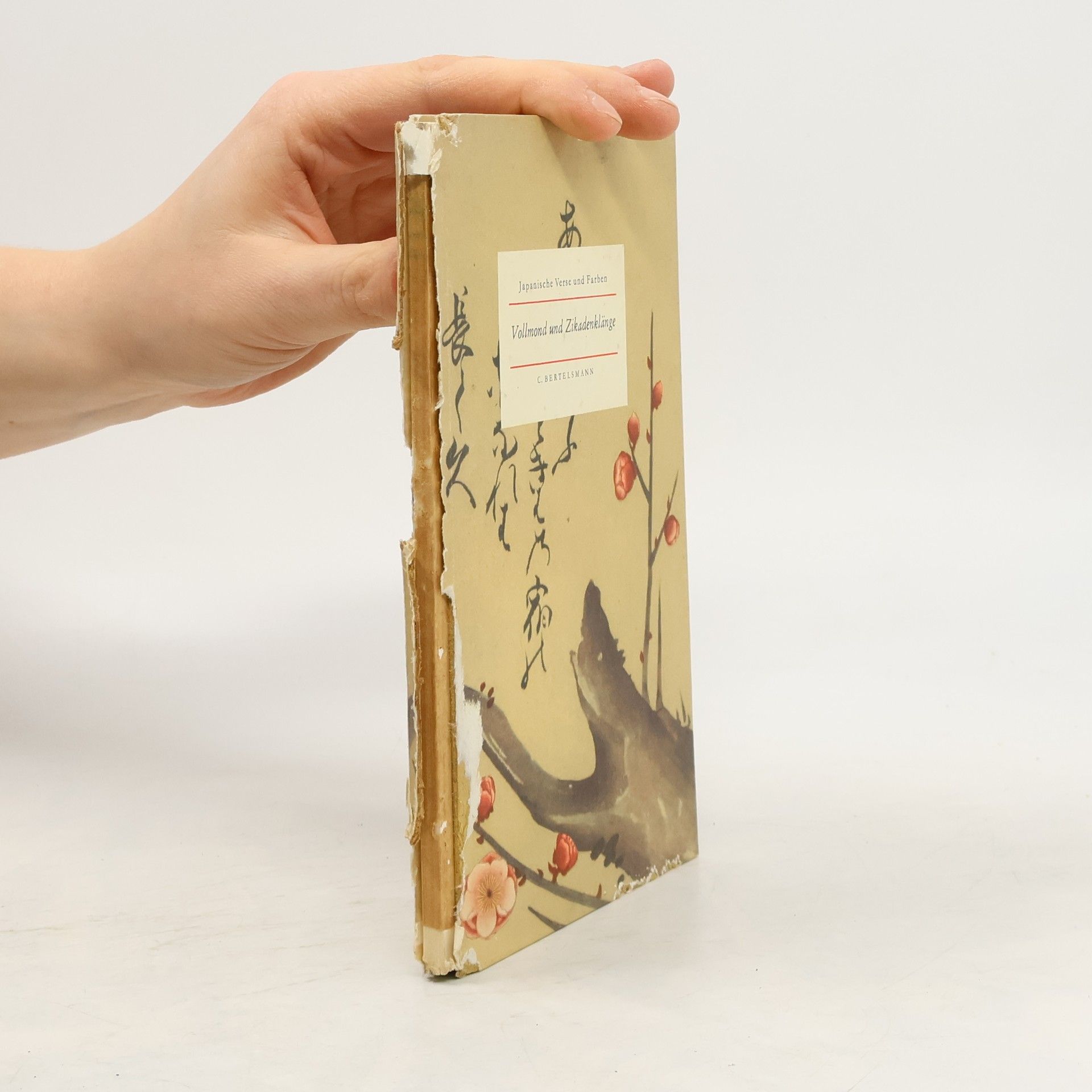 Autorenkollektiv Vollmond und Zikadenklänge