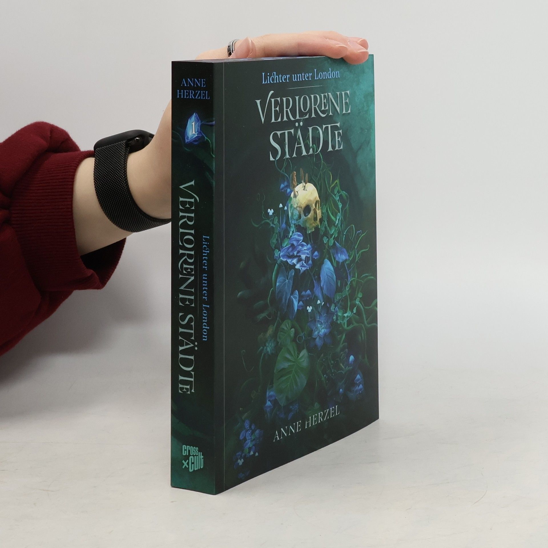 Anne Herzel Verlorene Städte