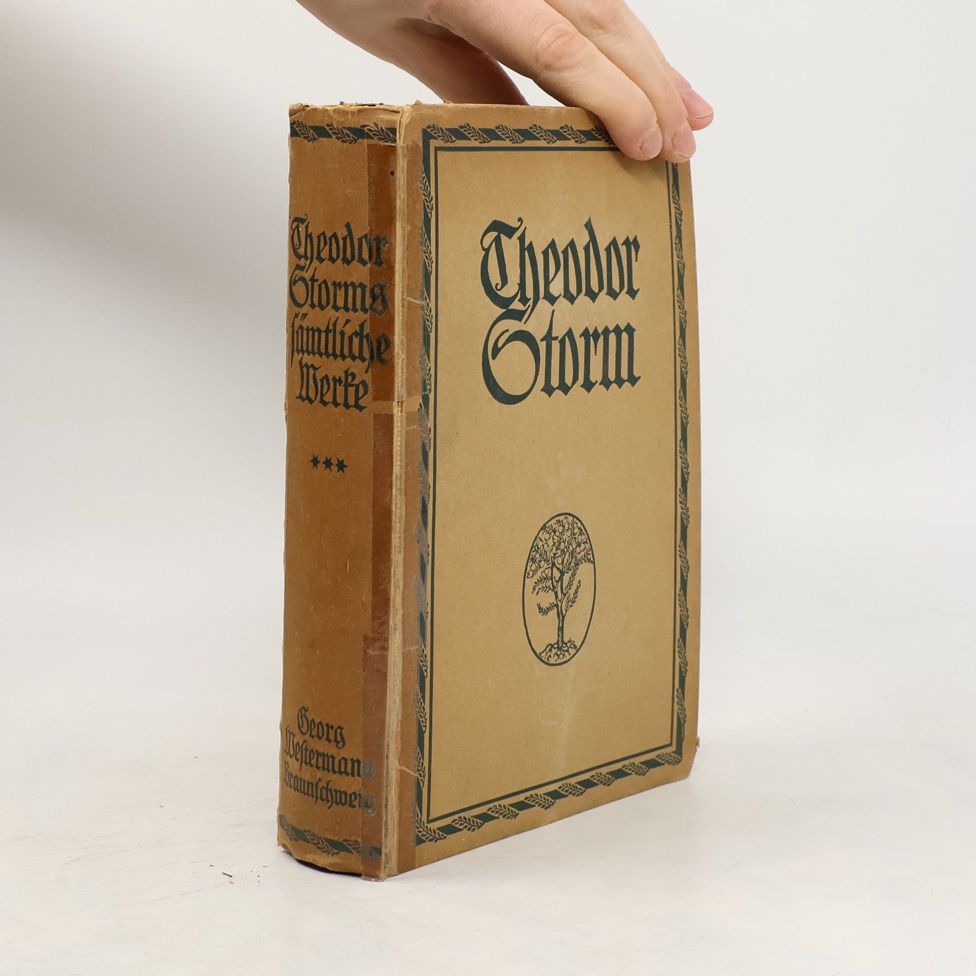 Theodor Storm Theodor Storm Sämtliche Werke 3
