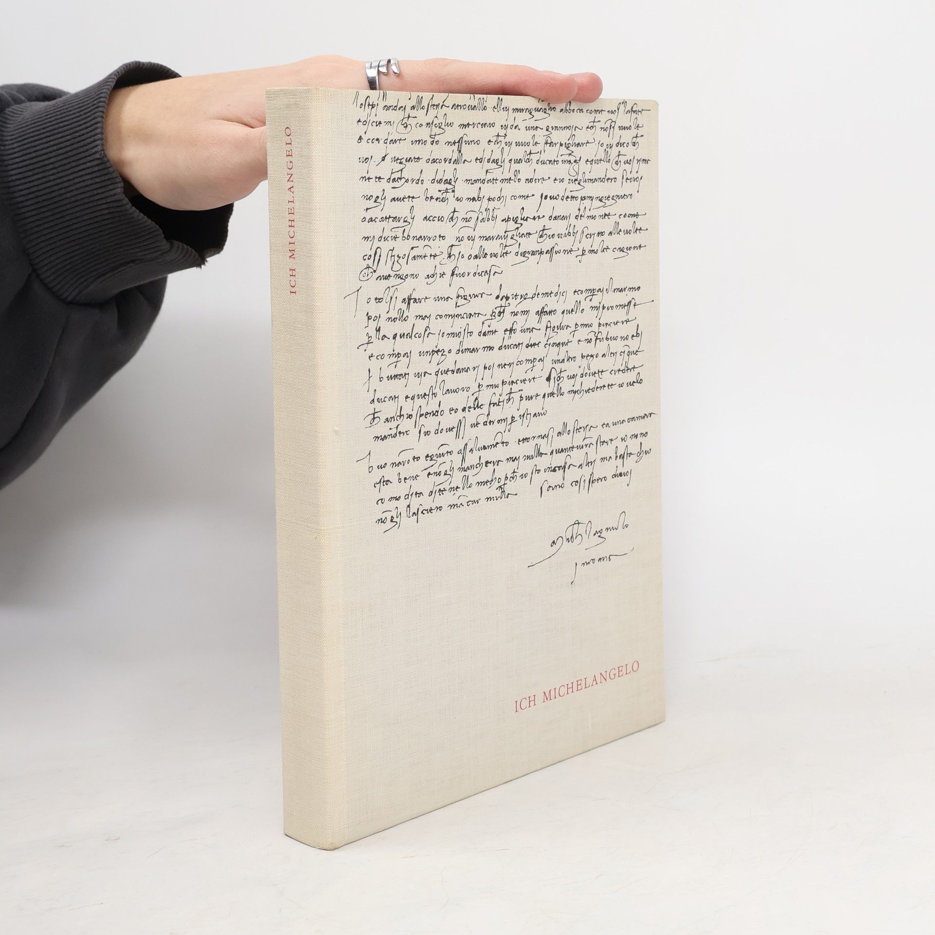 Ich Michelangelo. Briefe, Dichtungen und Gespräche in einer Auswahl