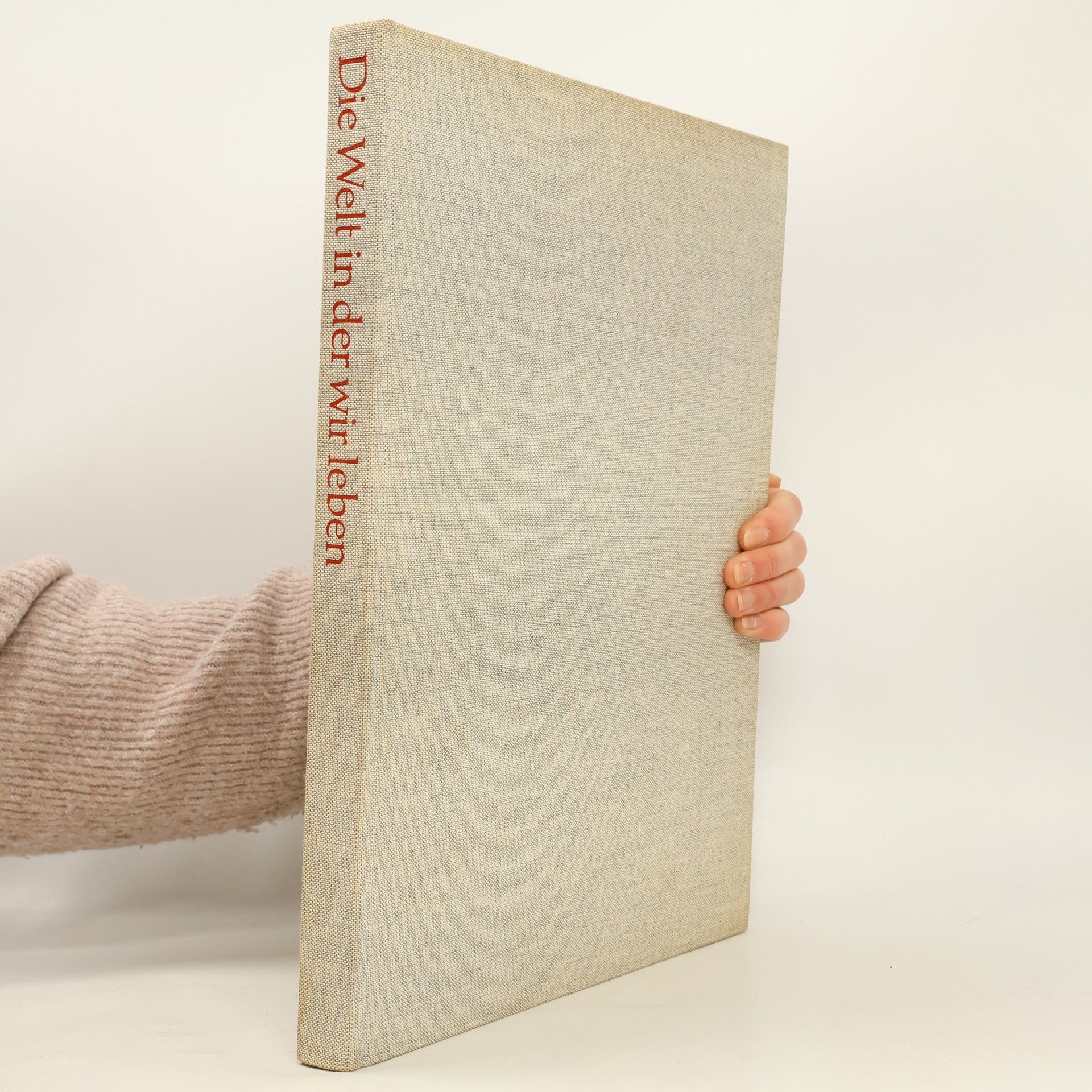 Die Welt in der wir Leben