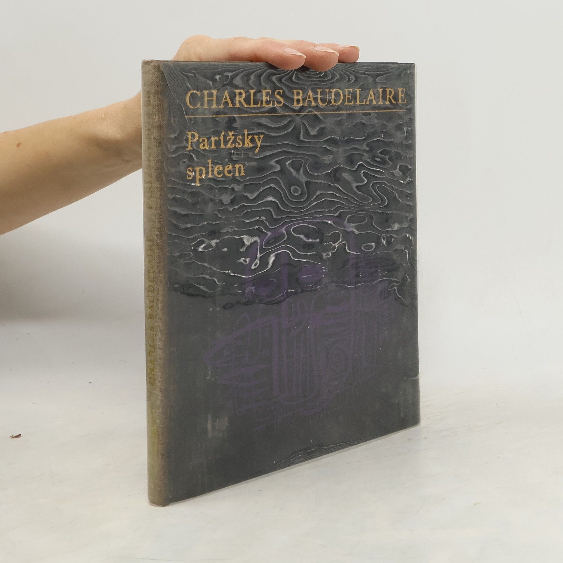 Charles Baudelaire Parížsky spleen