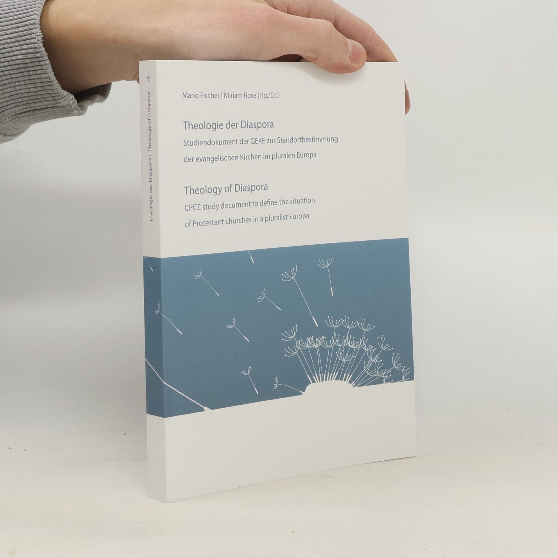 Mario Fischer Theologie der Diaspora