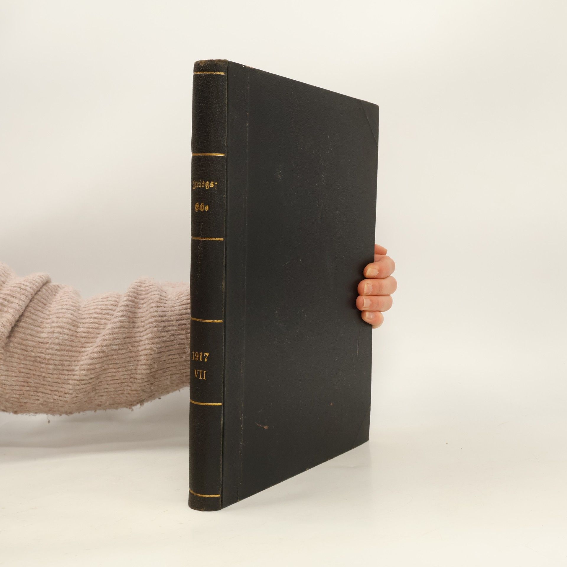 Kolektív autorov Kriegs-Echo VII