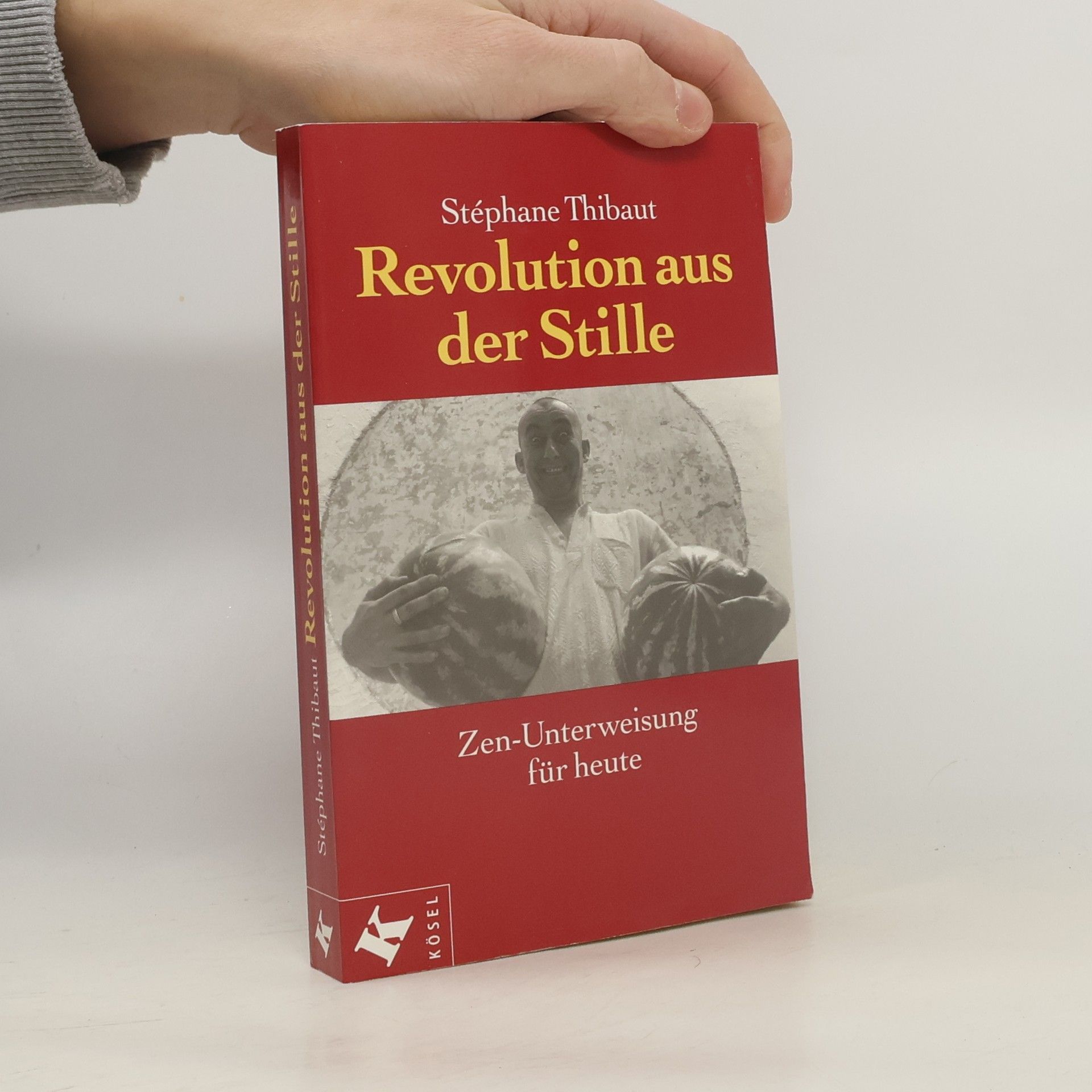 Stéphane Thibaut Revolution aus der Stille