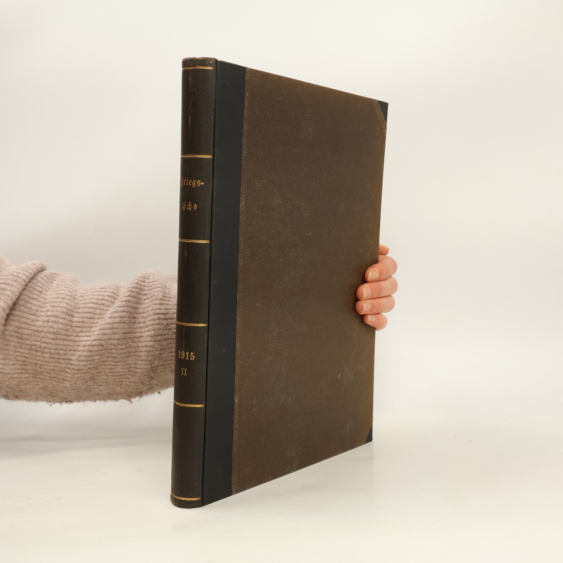 Kolektív autorov Kriegs-Echo II