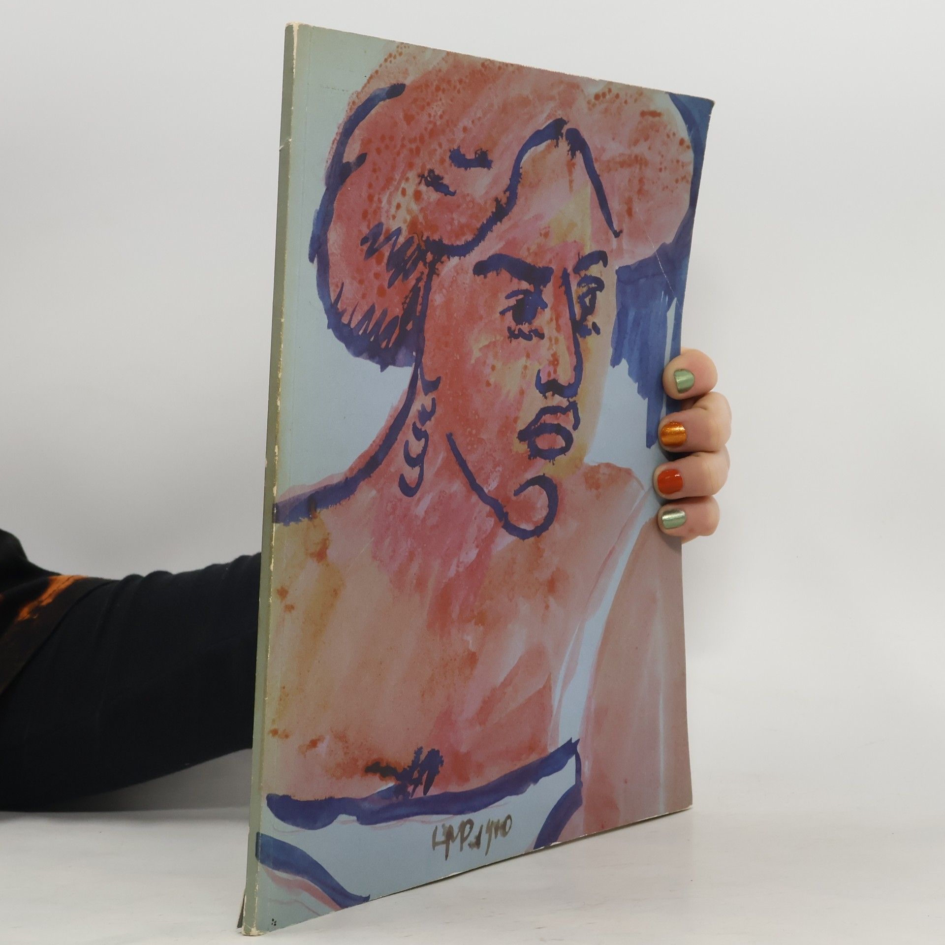 Kolektív autorov Der junge Pechstein