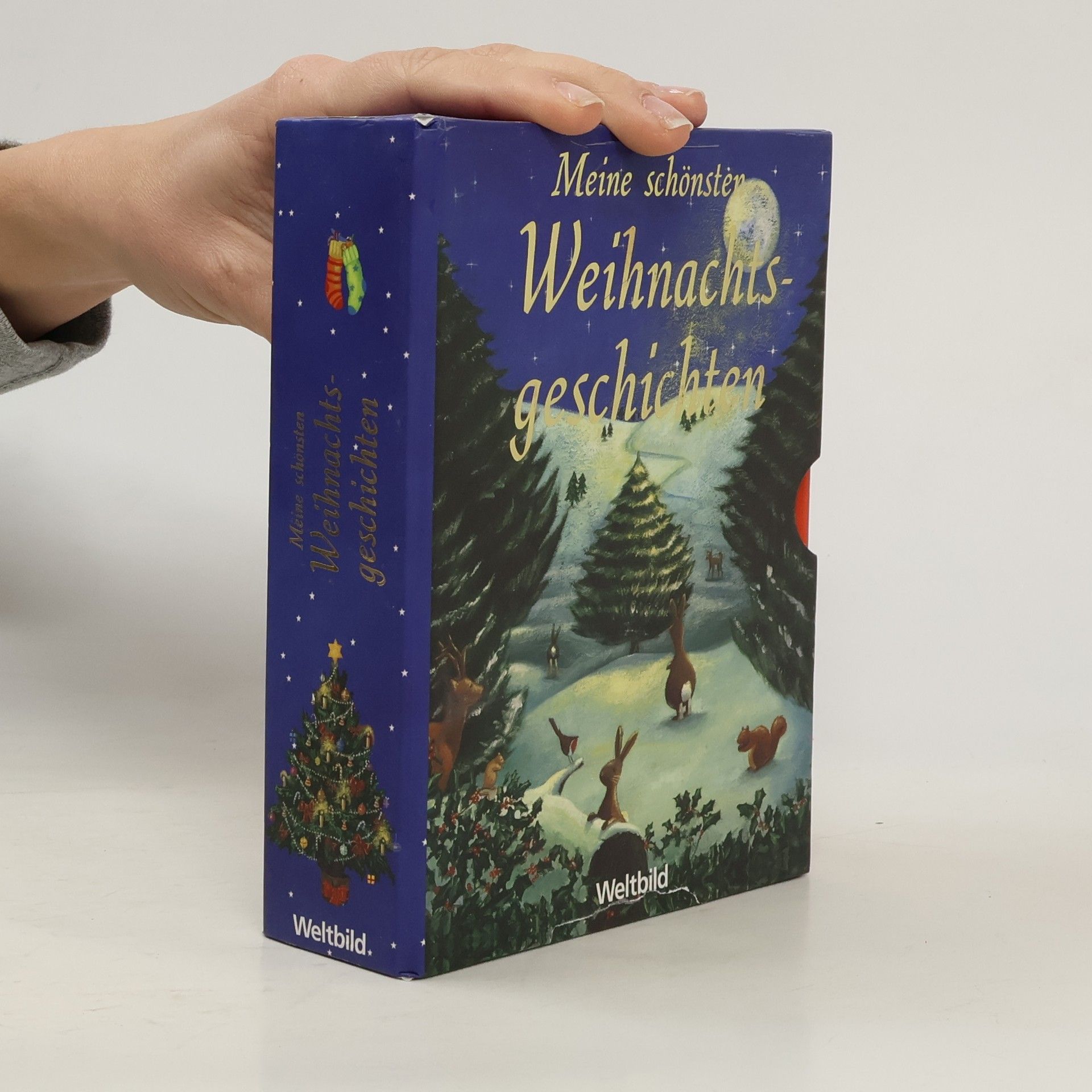 Kolektív autorov Meine schönsten Weihnachtsgeschichten box