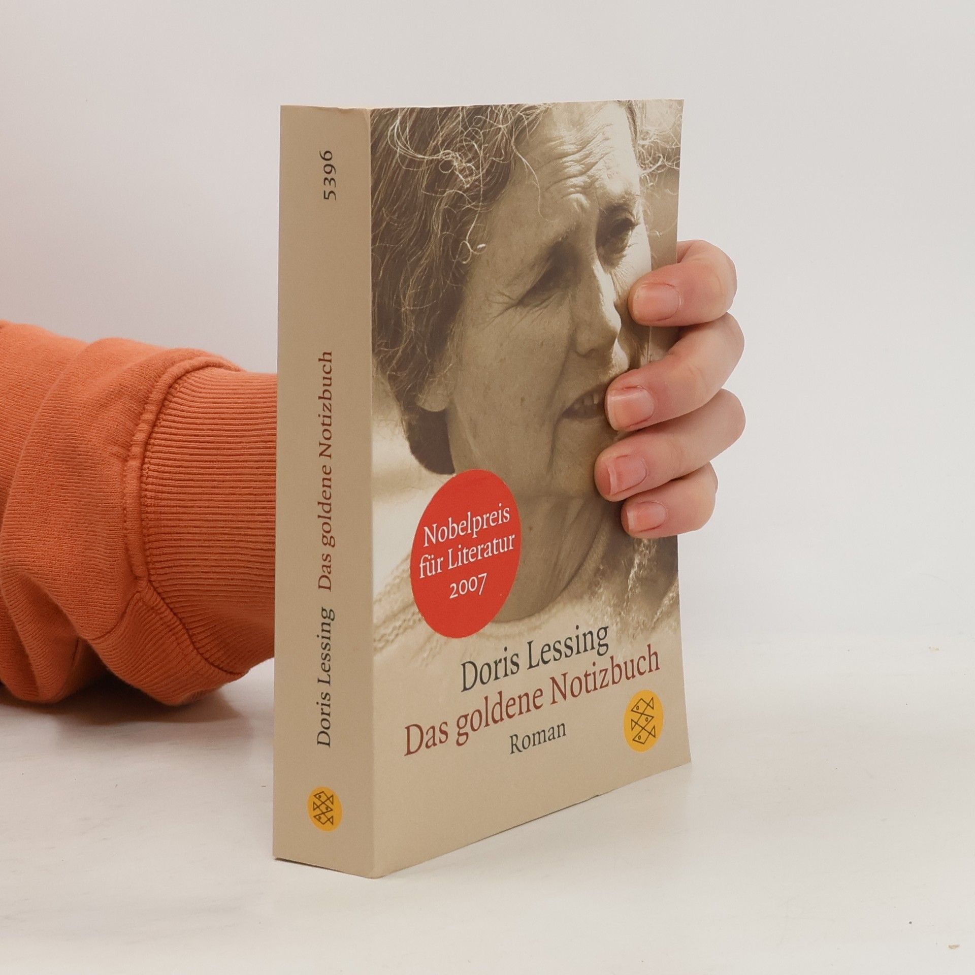 Doris Lessing Das goldene Notizbuch