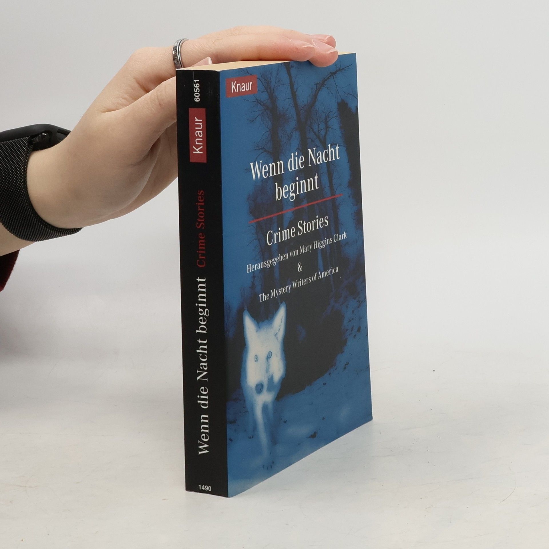 Wenn die Nacht beginnt