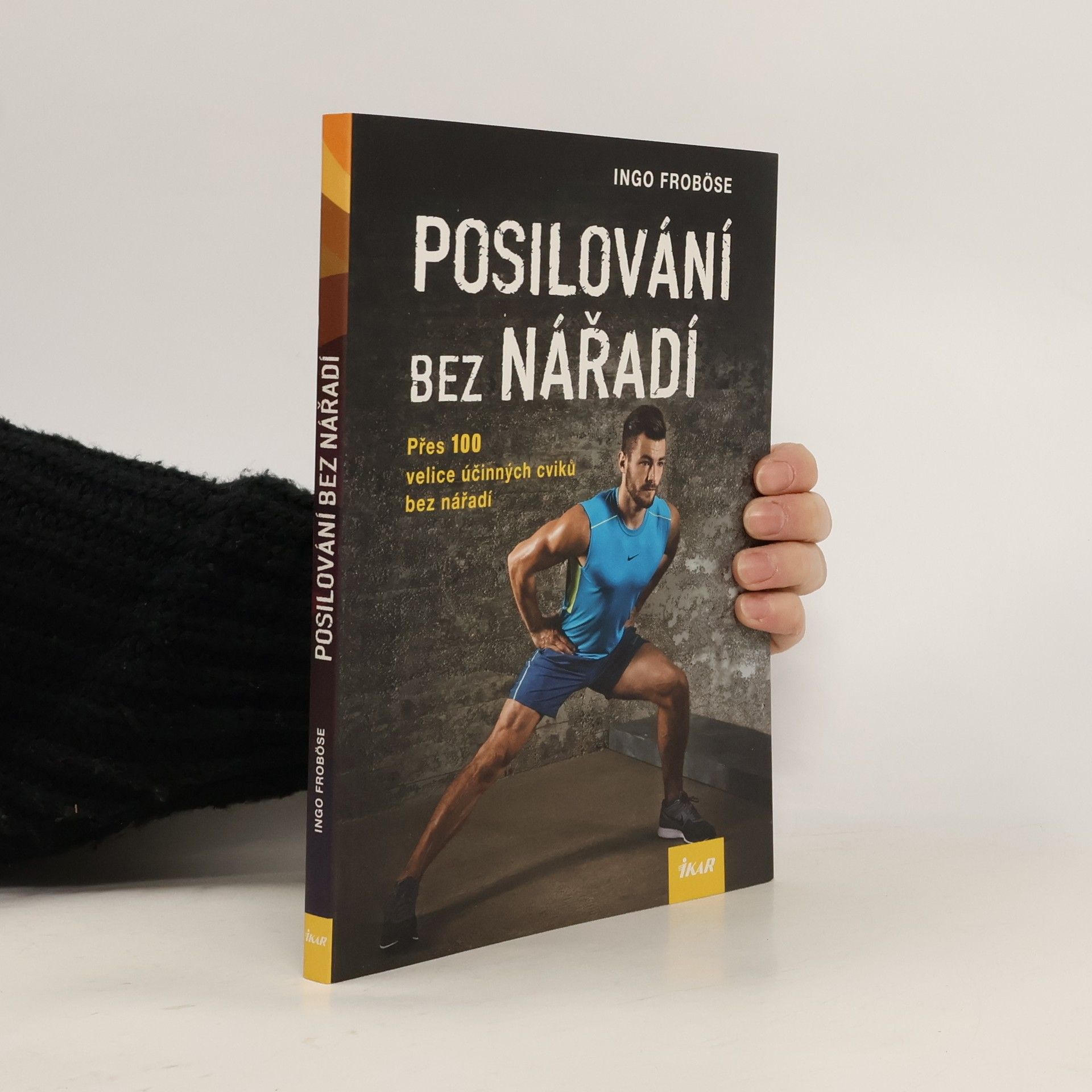 Ingo Froböse Posilování bez nářadí
