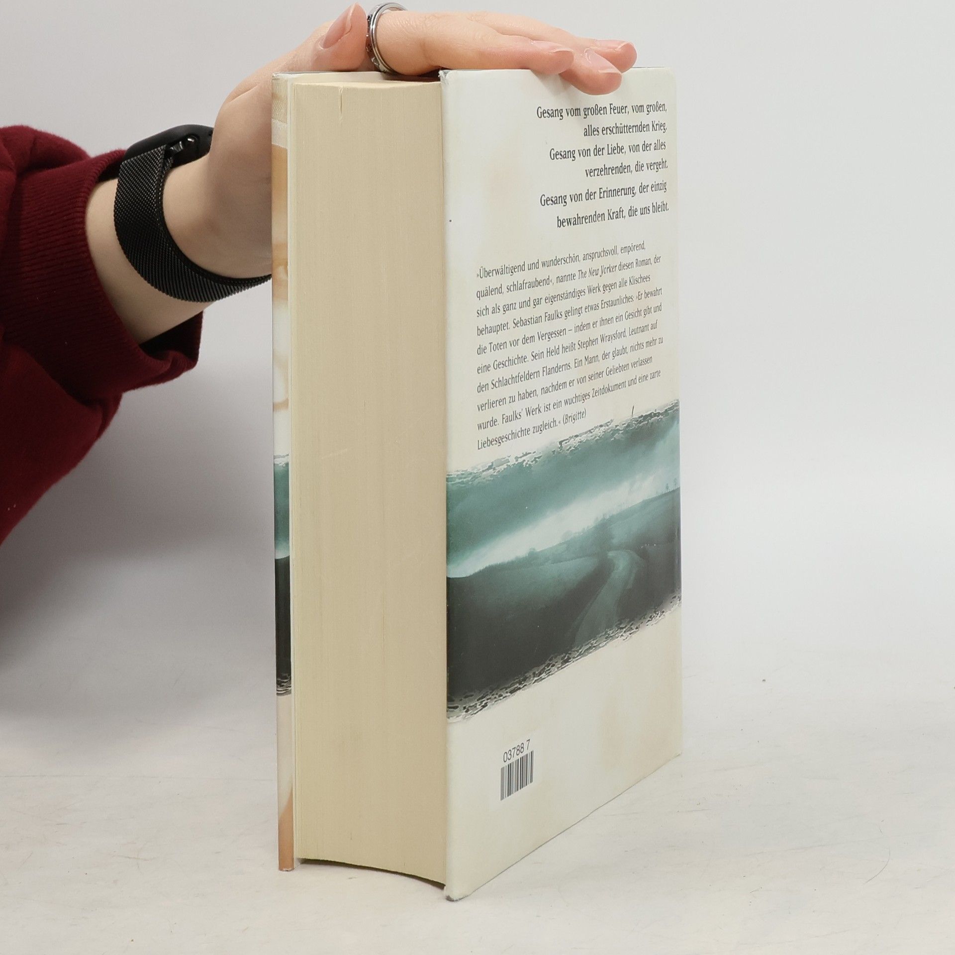 Sebastian Faulks Gesang vom großen Feuer