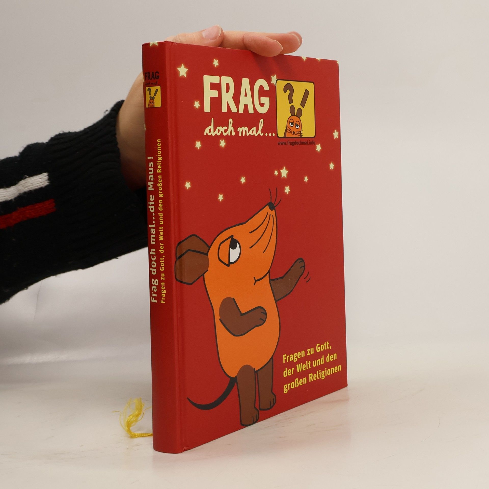 Kolektív autorov Fragen zu Gott, der Welt und den großen Religionen