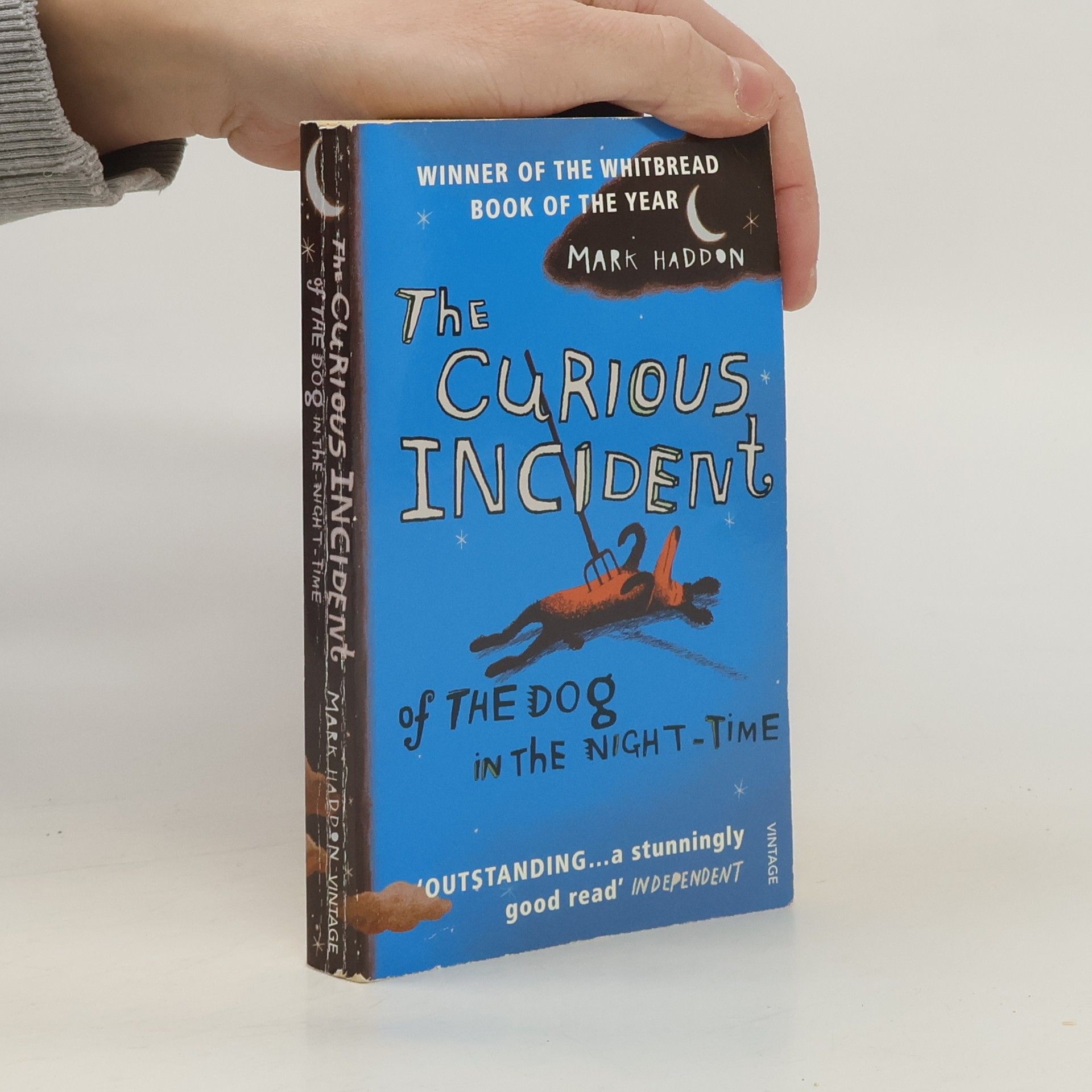 Mark Haddon The Curious Incident of The Dog in The Night-Time