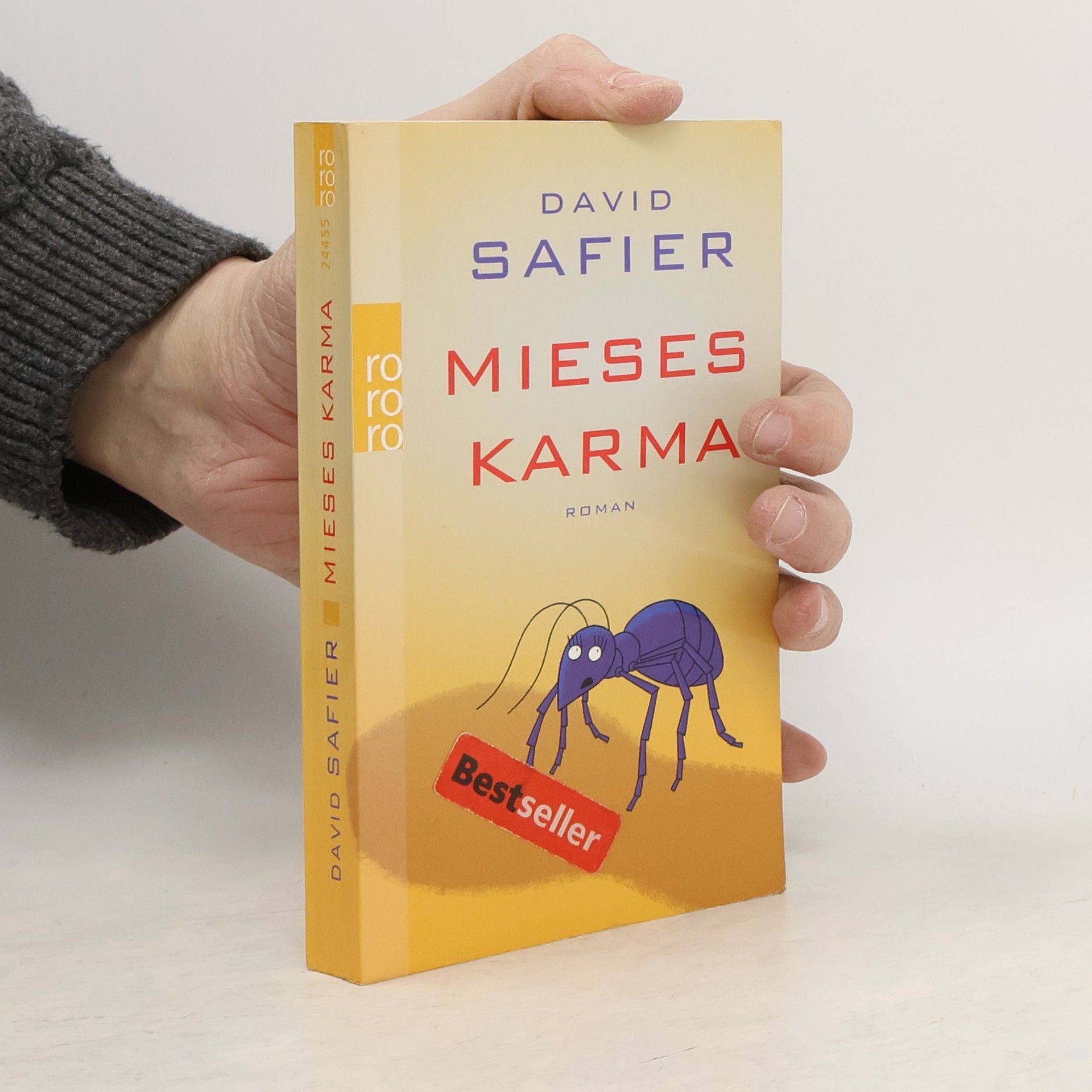 David Safier Mieses Karma