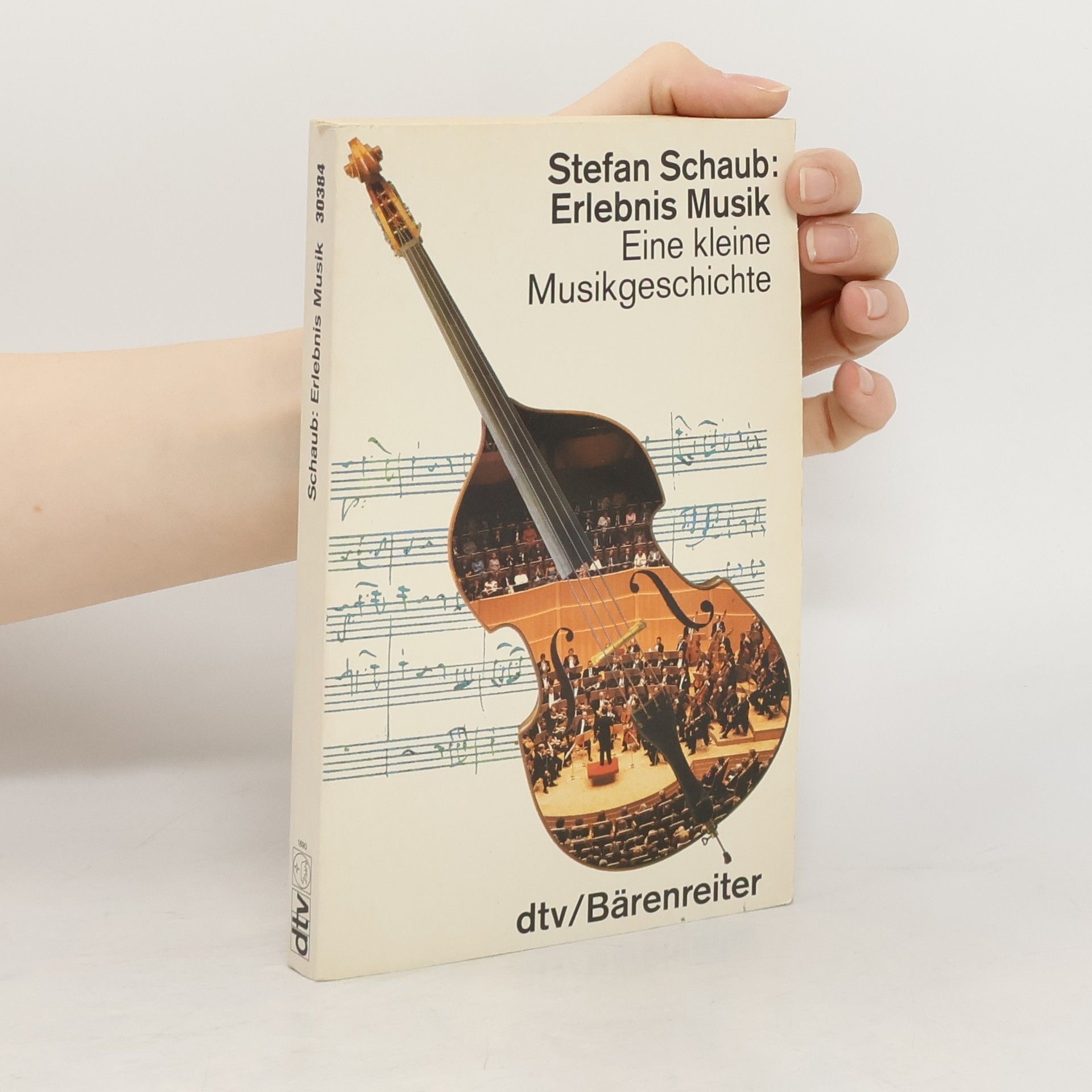 Stefan Schaub Erlebnis Musik