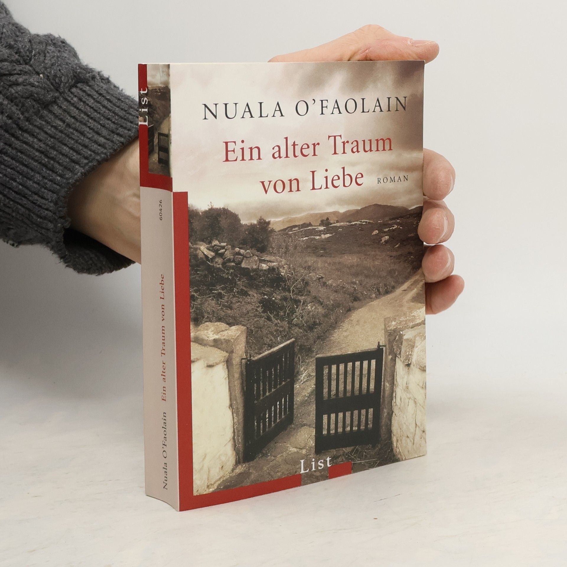 Nuala O. Faolain Ein alter Traum von Liebe