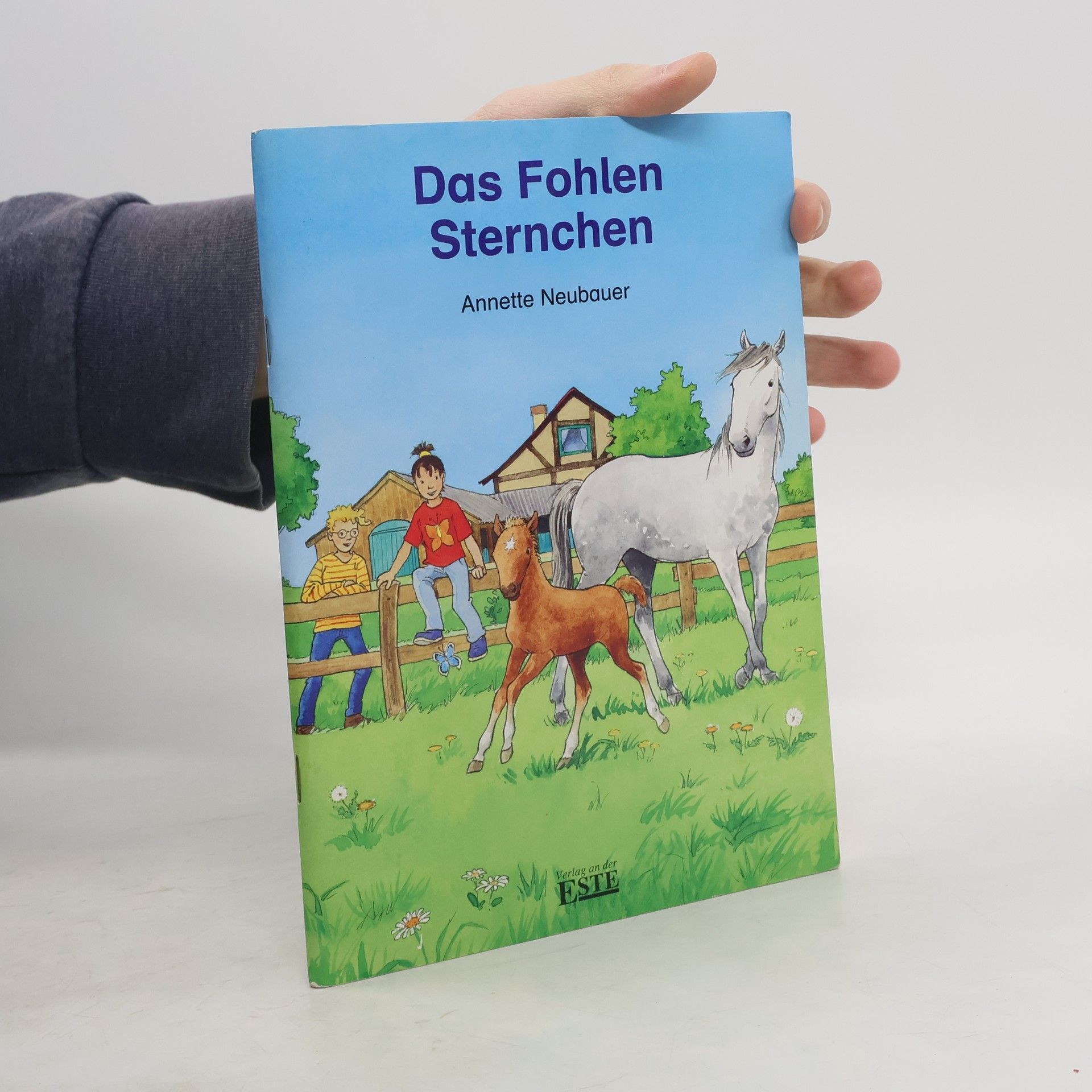 Annette Neubauer Das Fohlen Sternchen