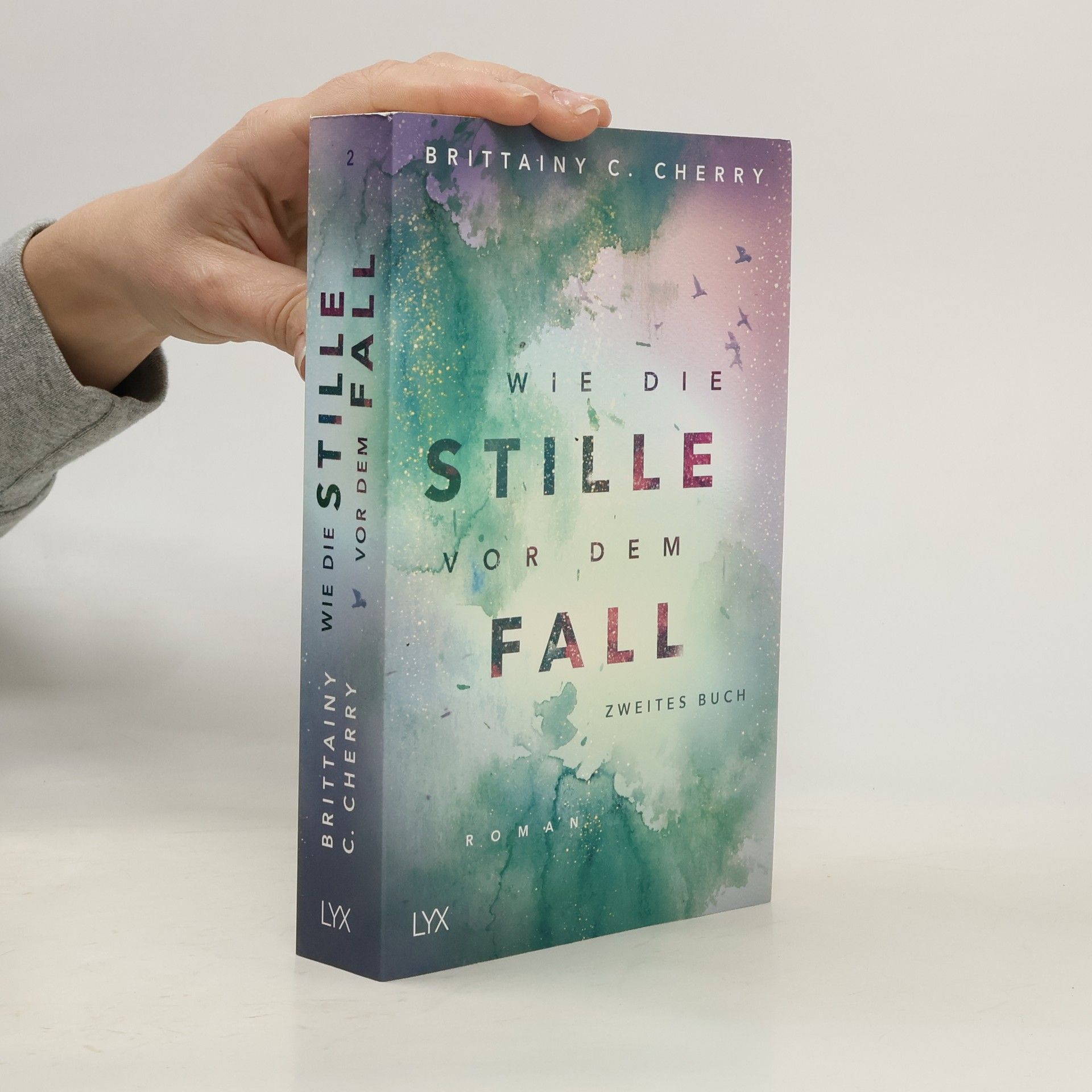 Wie die Stille vor dem Fall 2